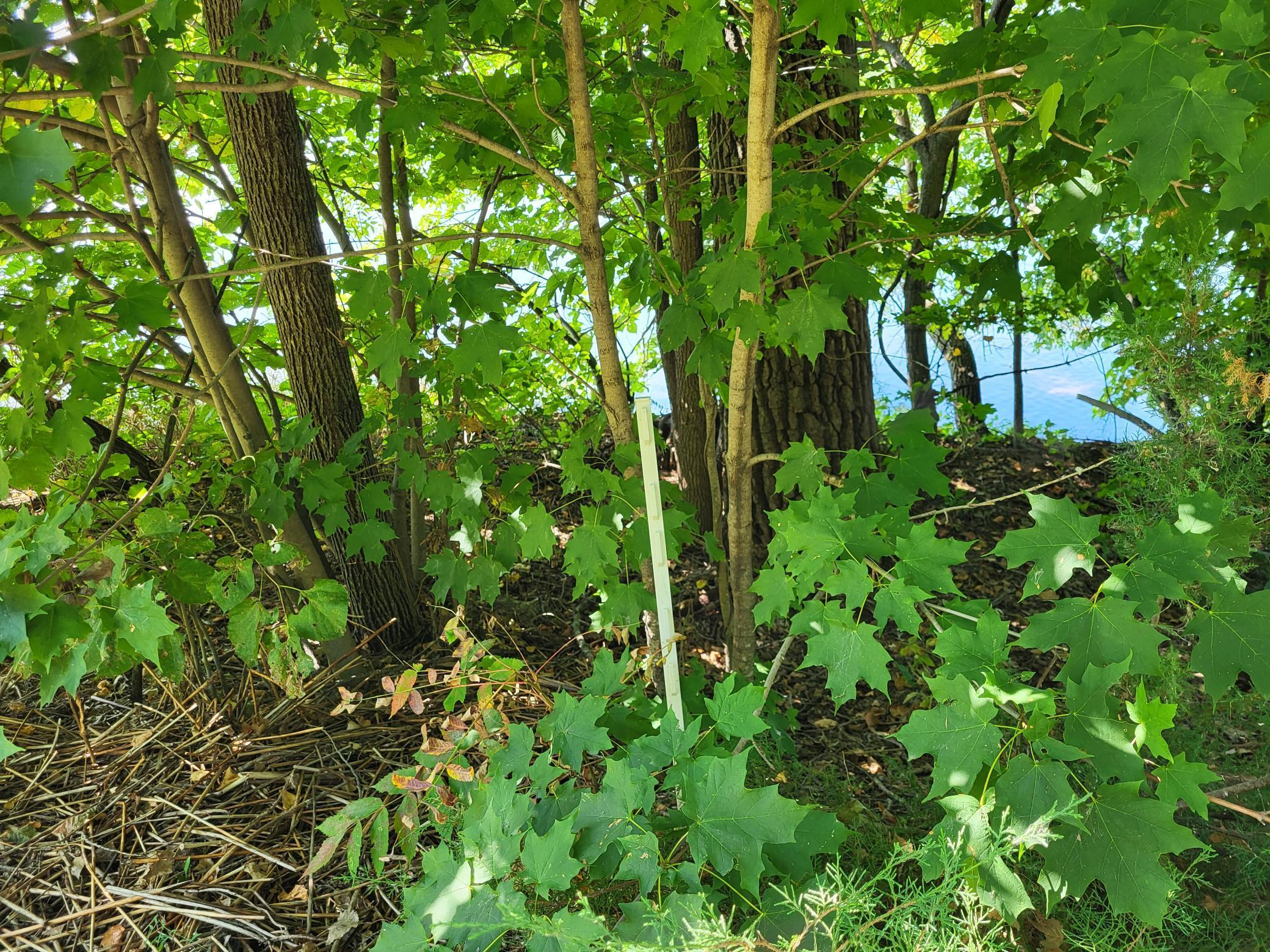 Lot 3 Pleasant Lake Road