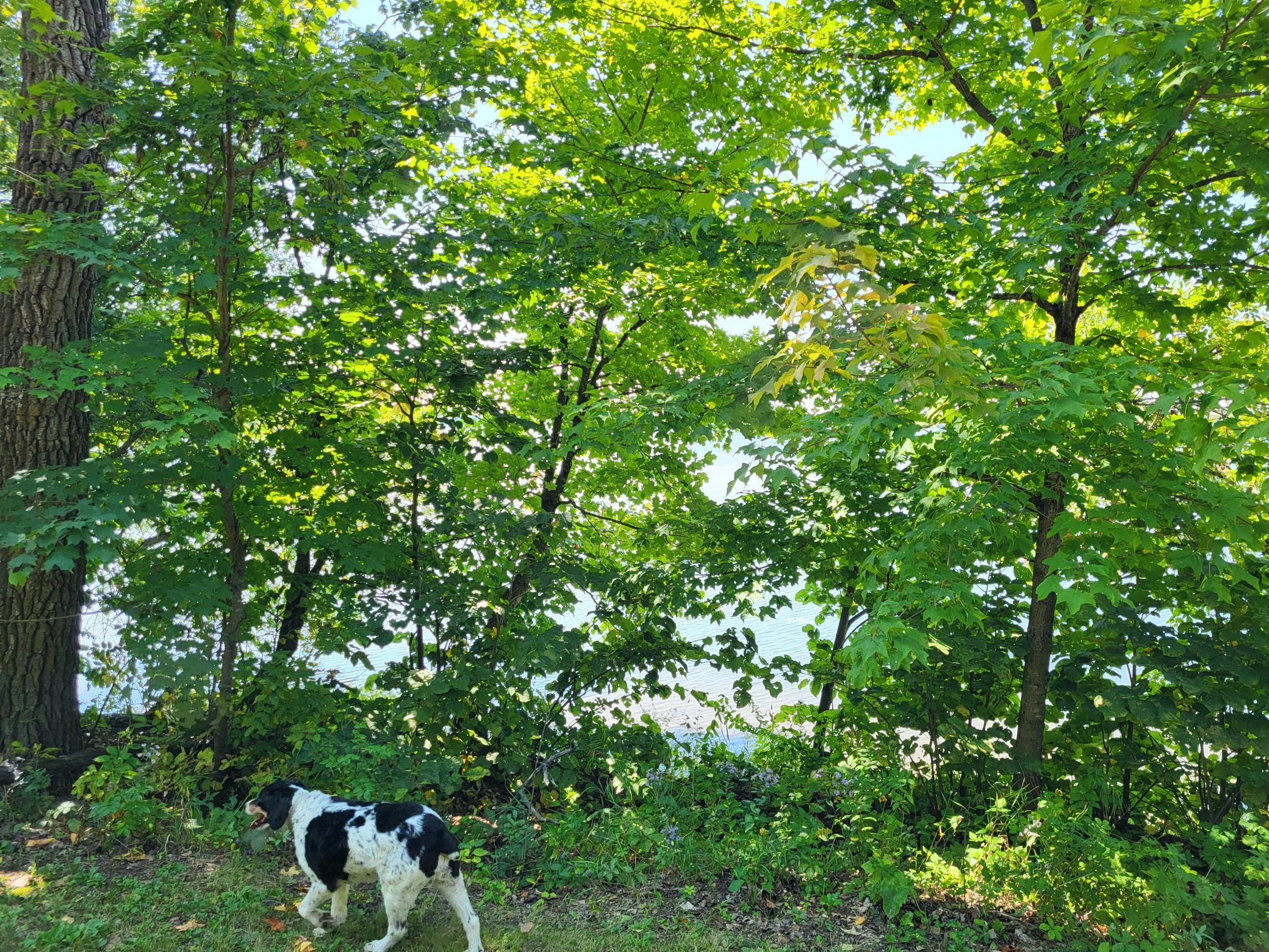 Lot 3 Pleasant Lake Road