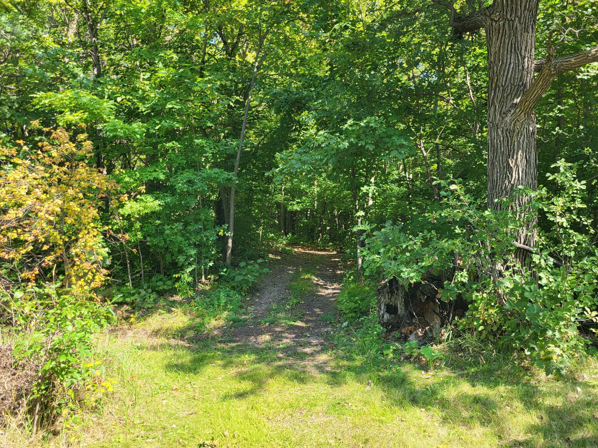 Lot 3 Pleasant Lake Road