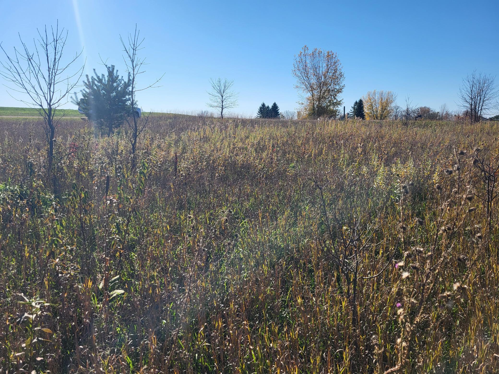 Lot 4 River Pointe Trail