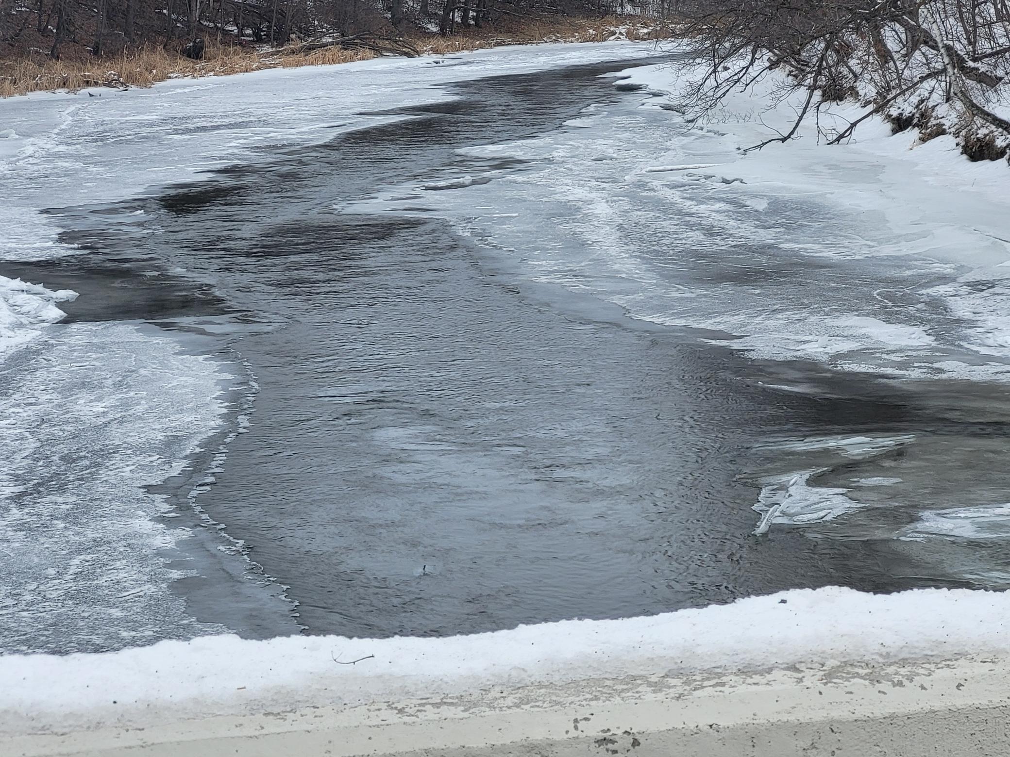 Lot 4 River Pointe Trail