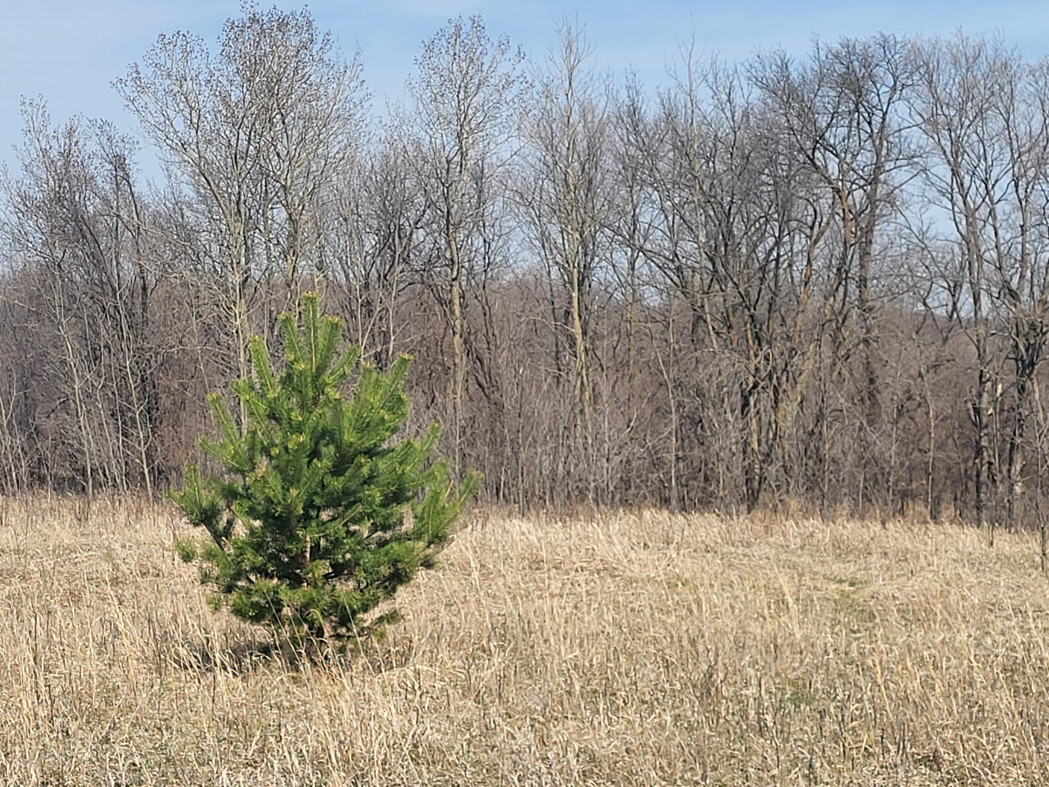 Lot 4 River Pointe Trail