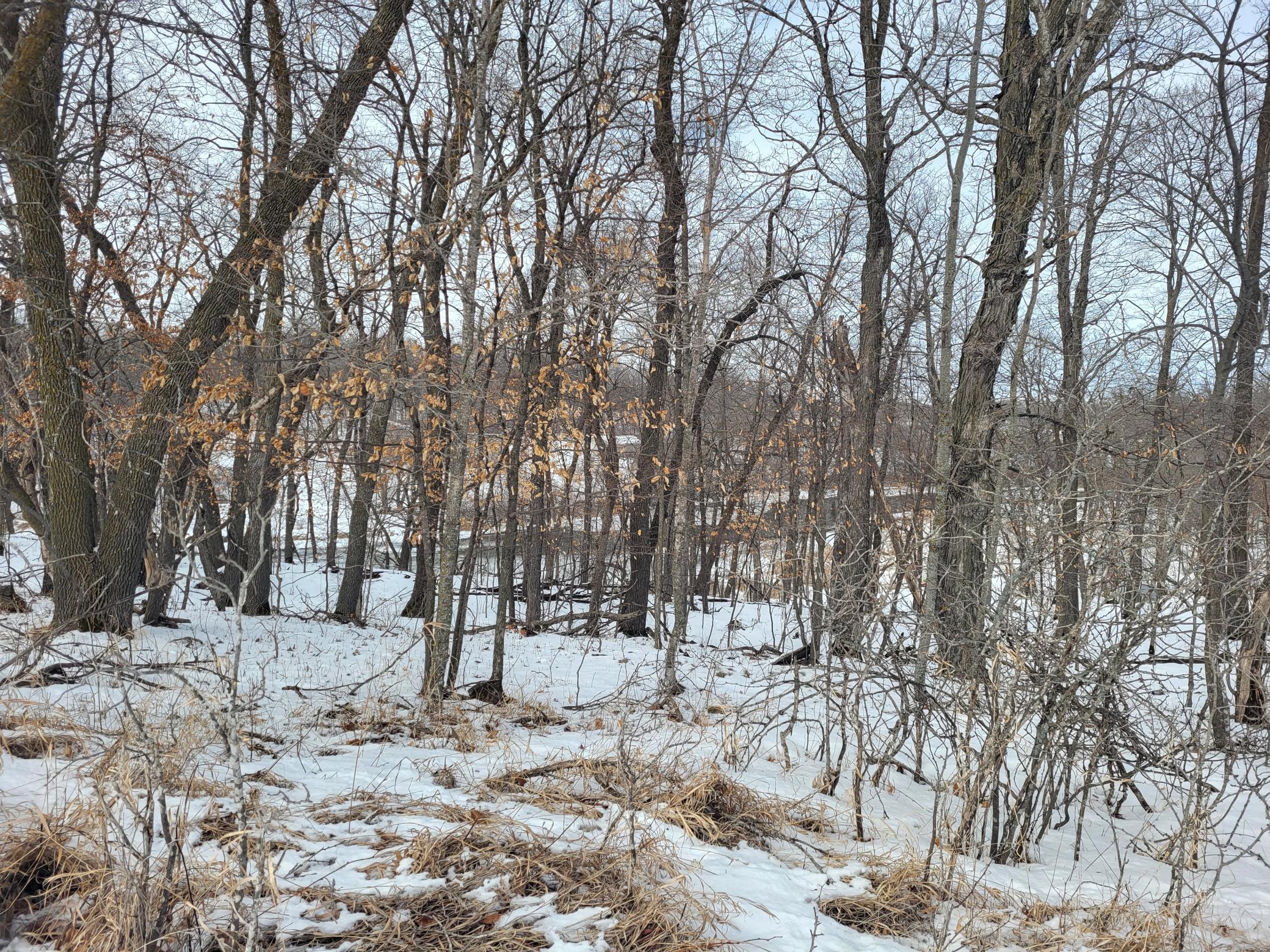 Lot 4 River Pointe Trail