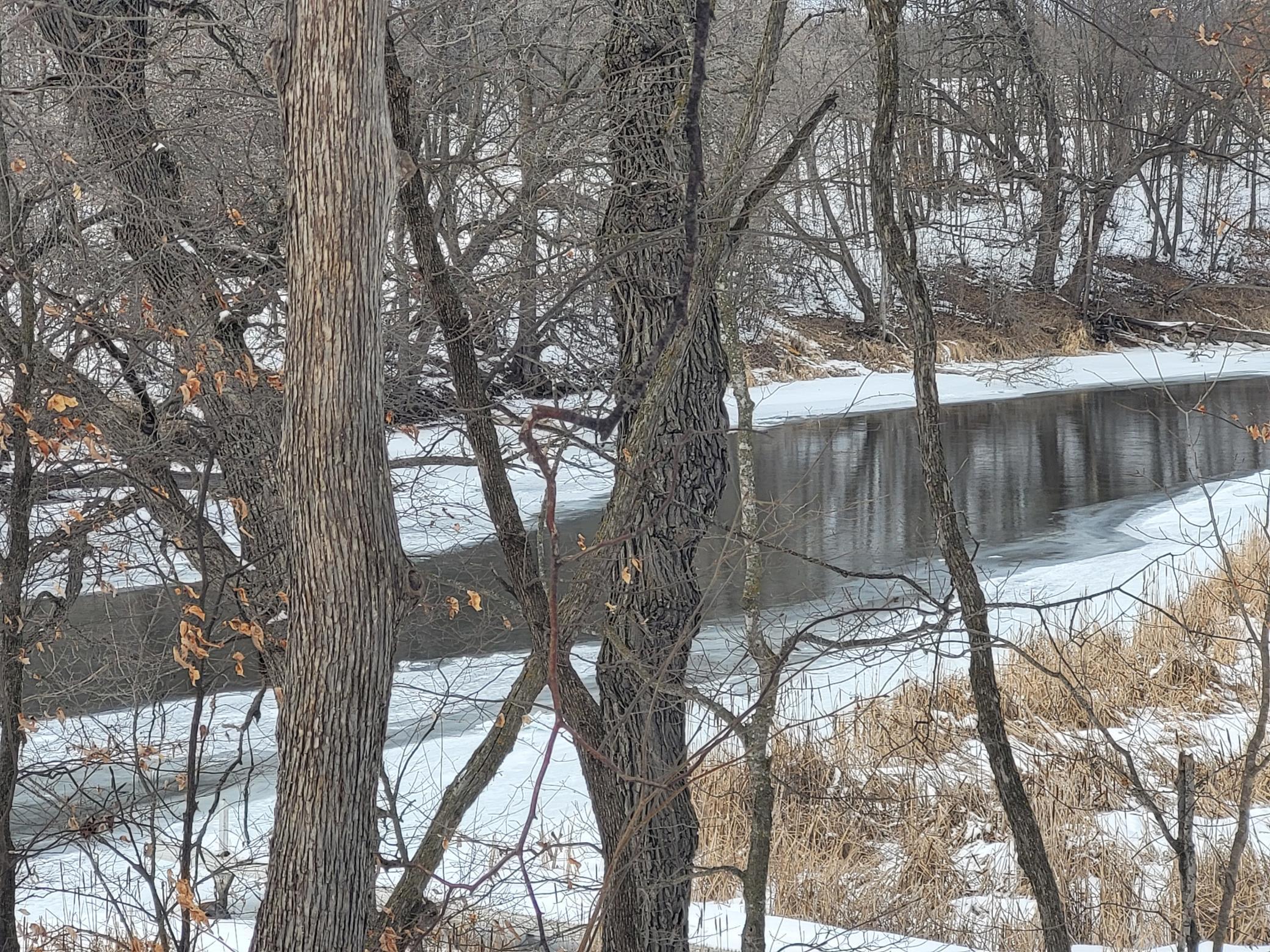 Lot 4 River Pointe Trail