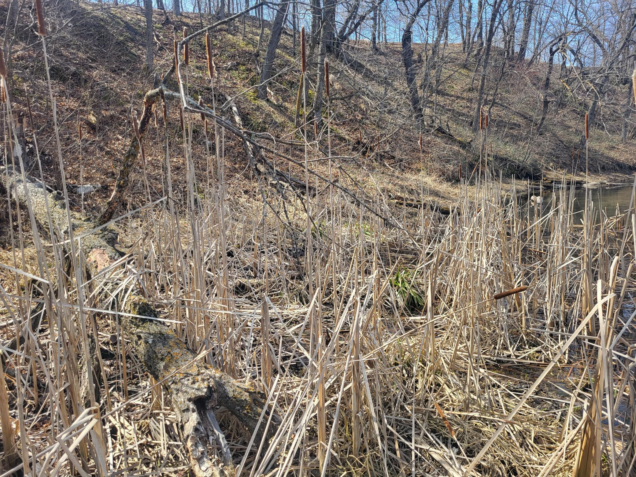 Lot 4 River Pointe Trail