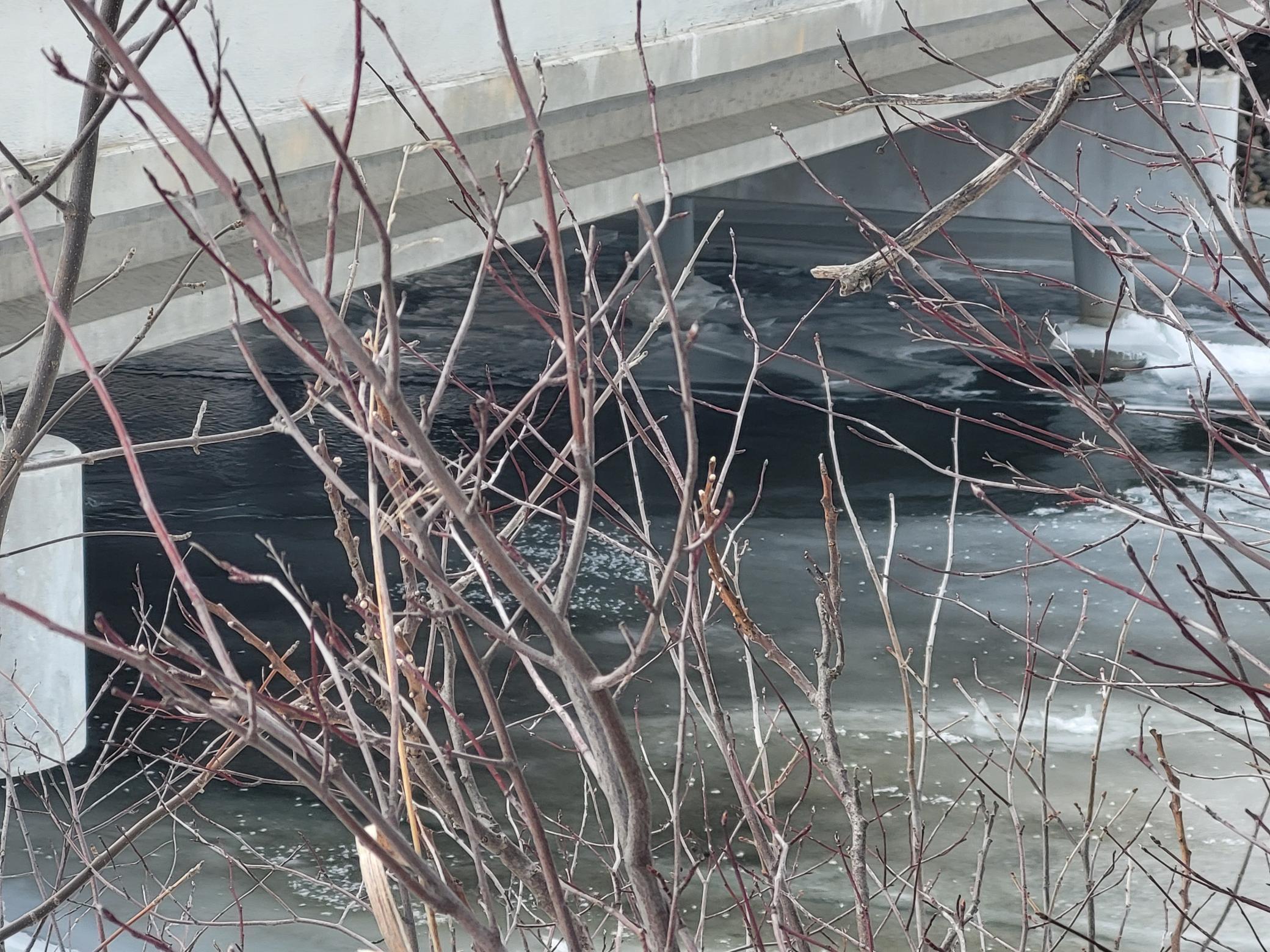 Lot 4 River Pointe Trail