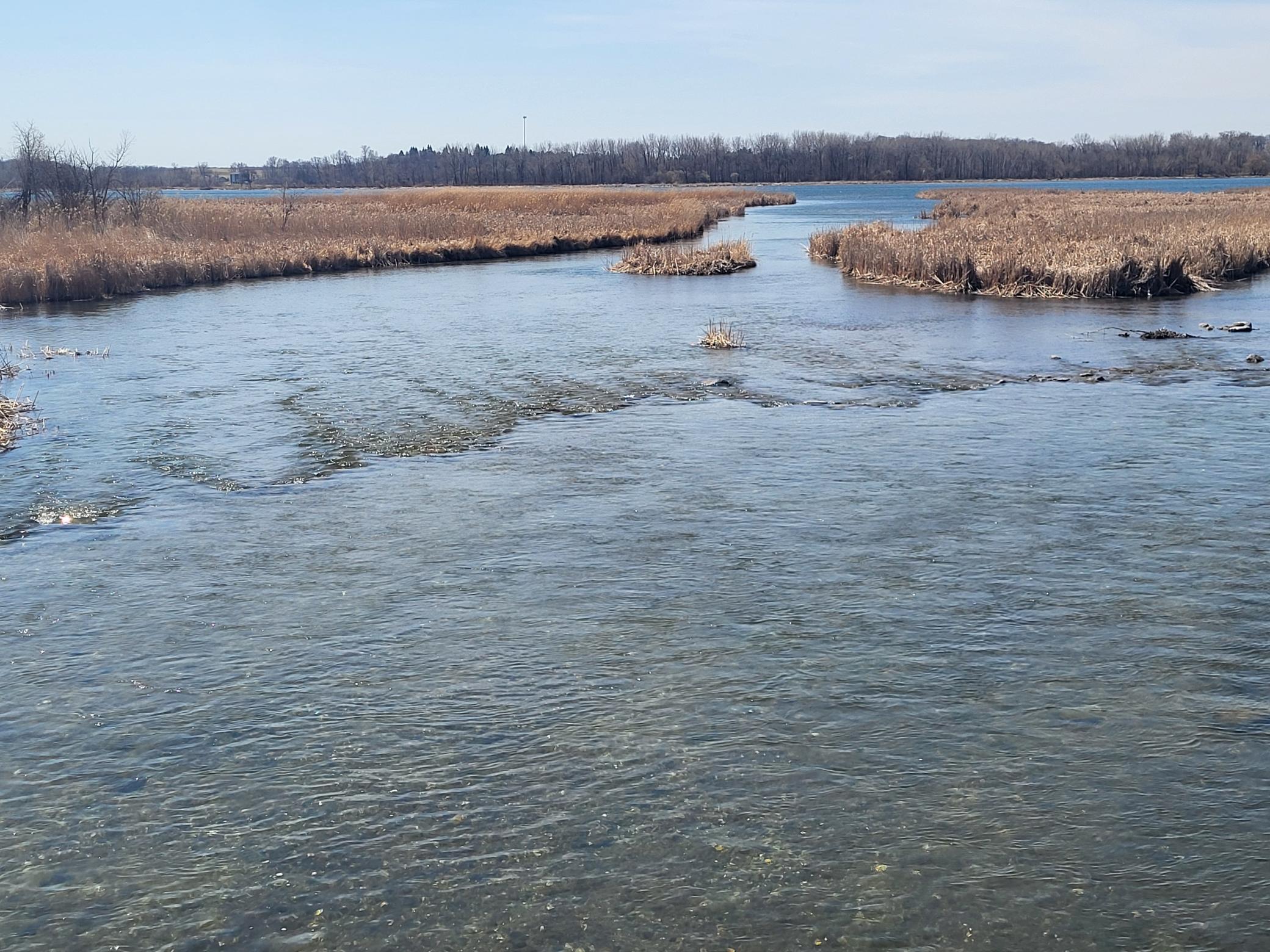 Lot 4 River Pointe Trail