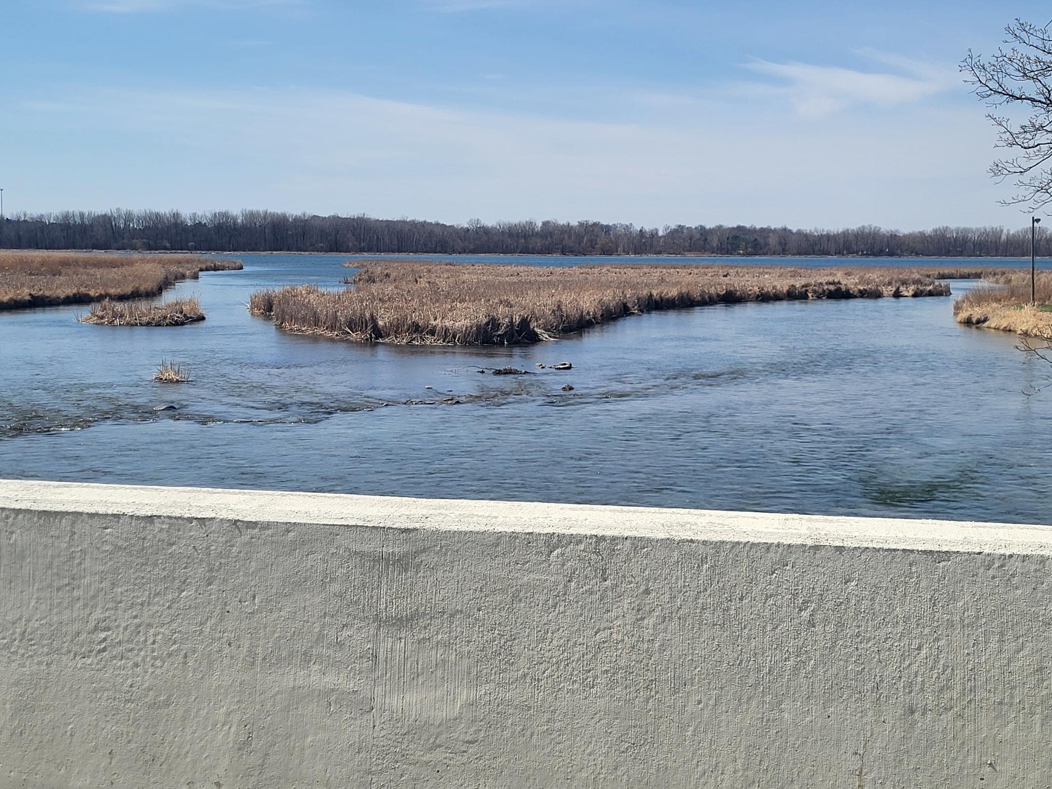 Lot 4 River Pointe Trail
