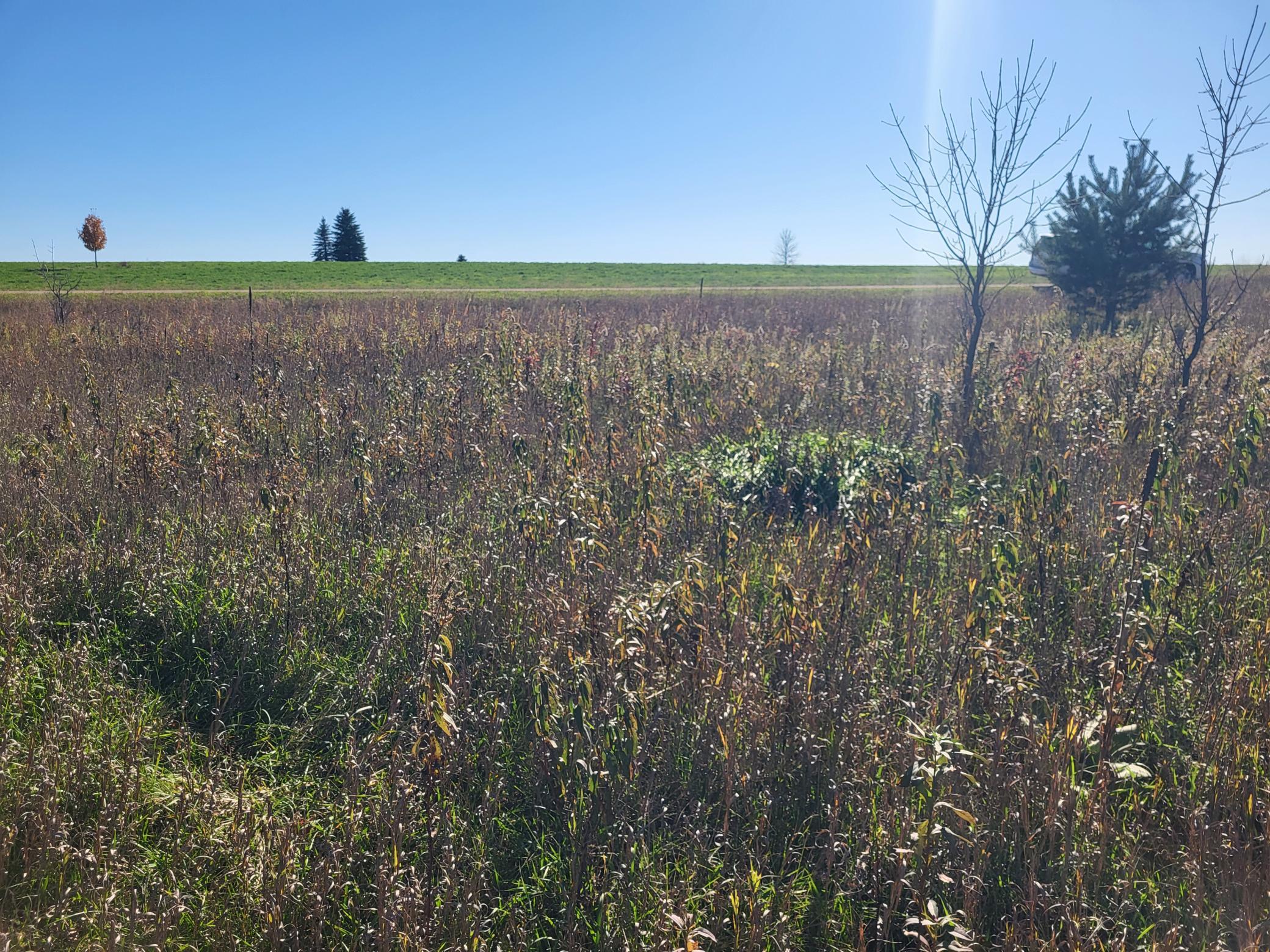Lot 4 River Pointe Trail