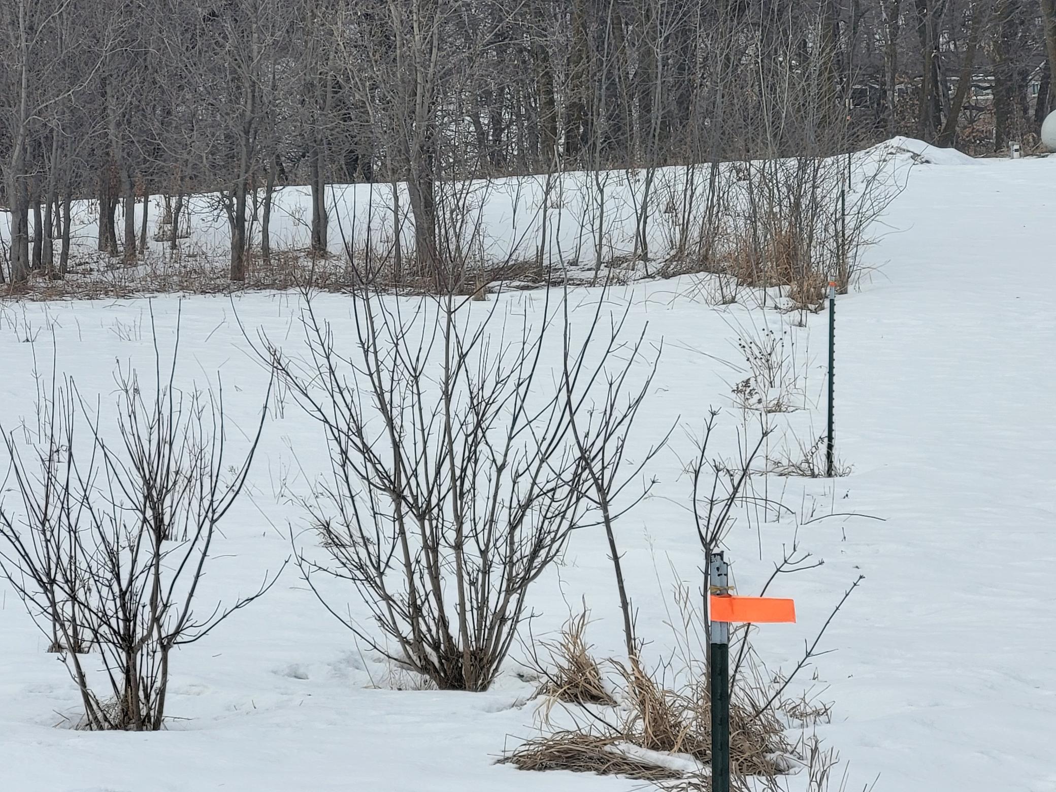 Lot 4 River Pointe Trail