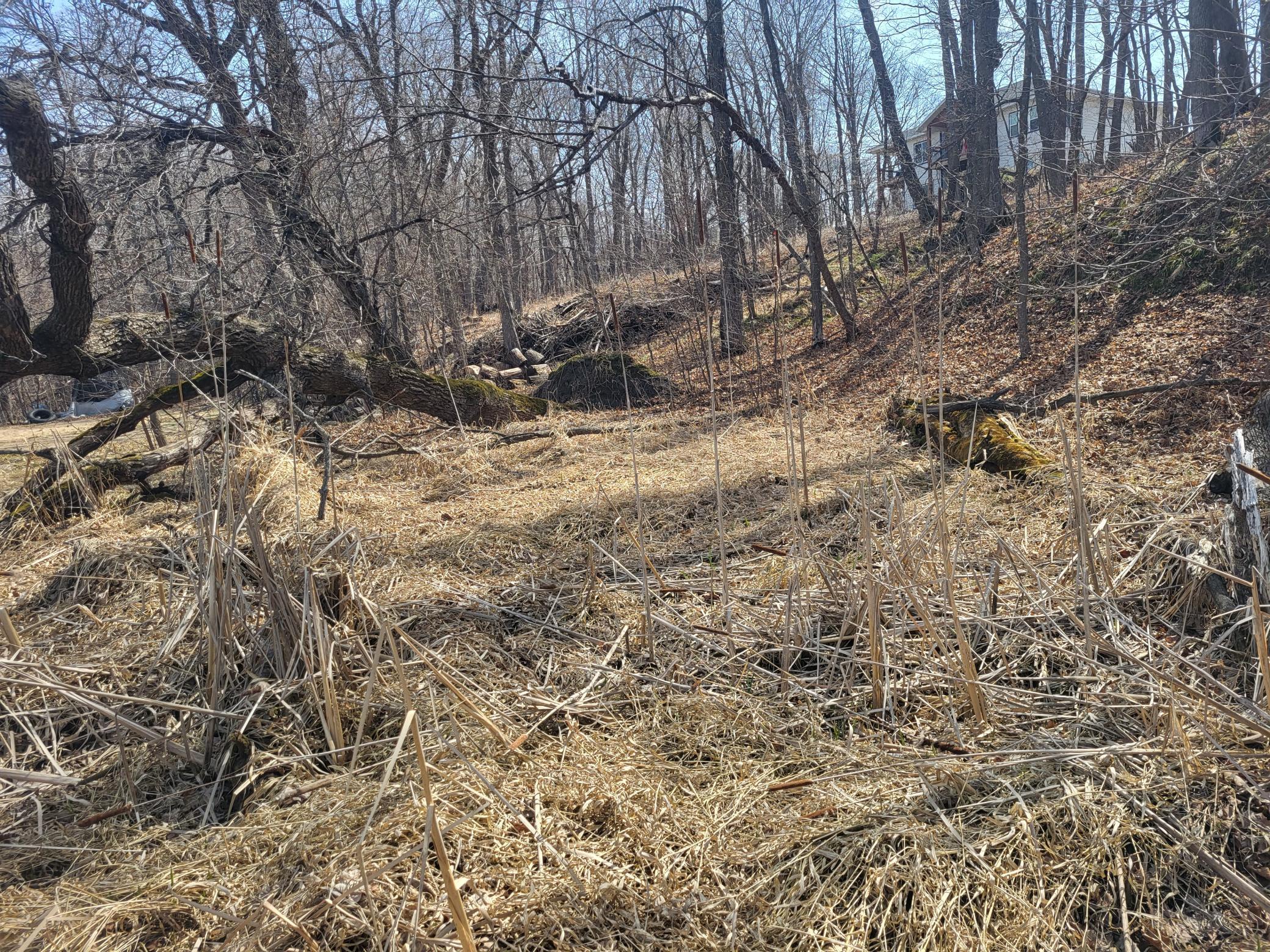 Lot 4 River Pointe Trail