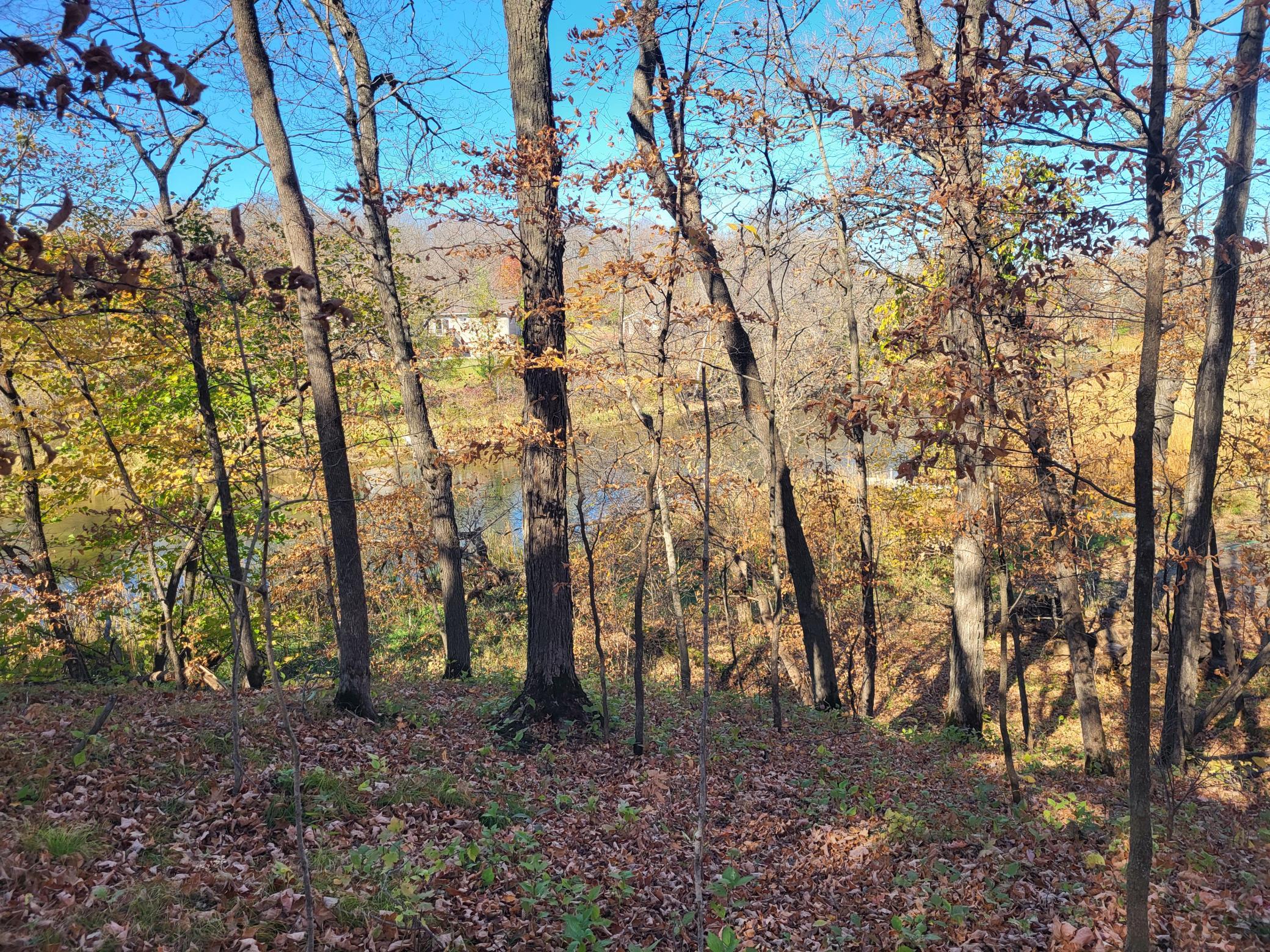 Lot 4 River Pointe Trail