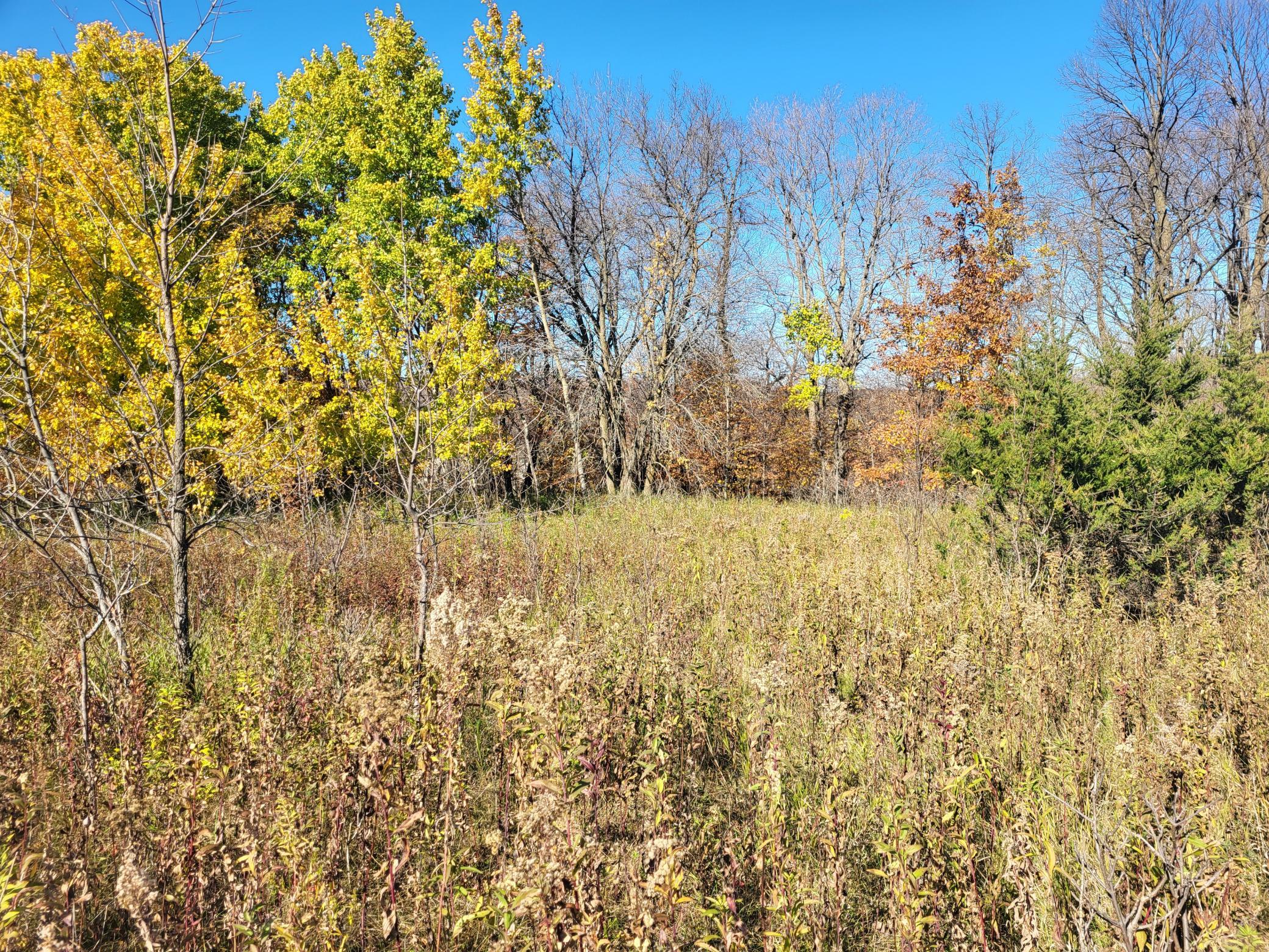 Lot 4 River Pointe Trail