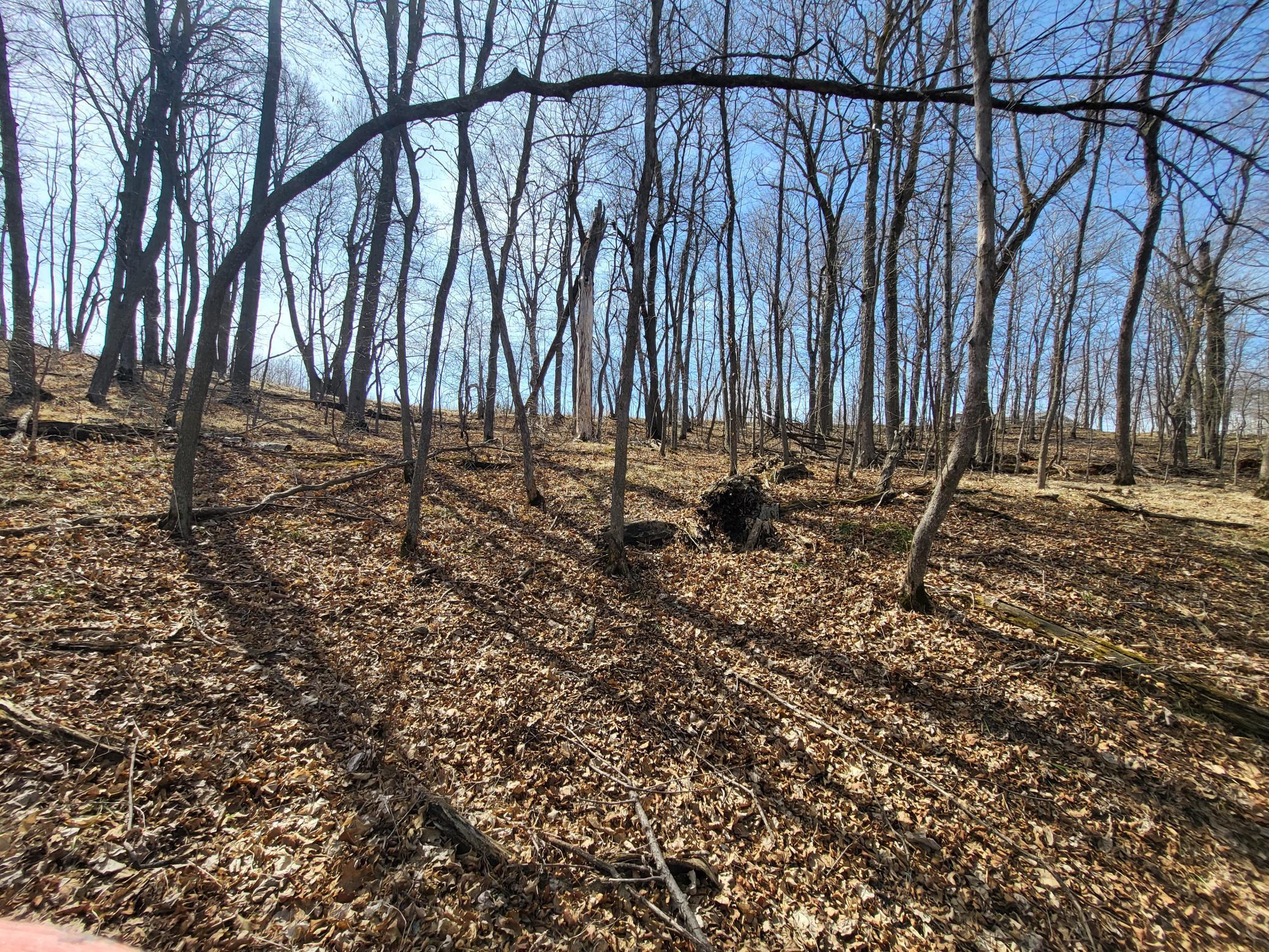 Lot 4 River Pointe Trail
