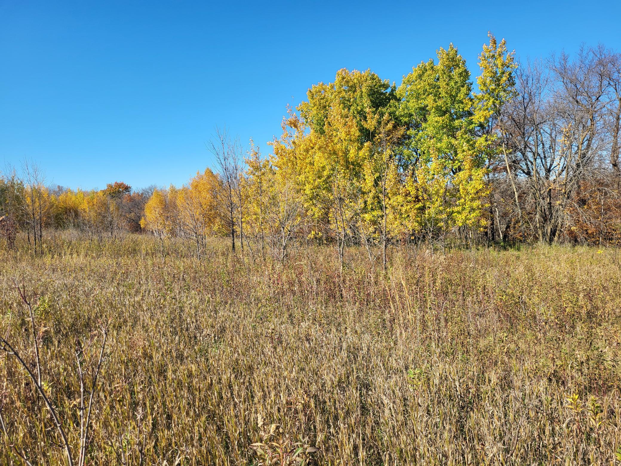 Lot 4 River Pointe Trail