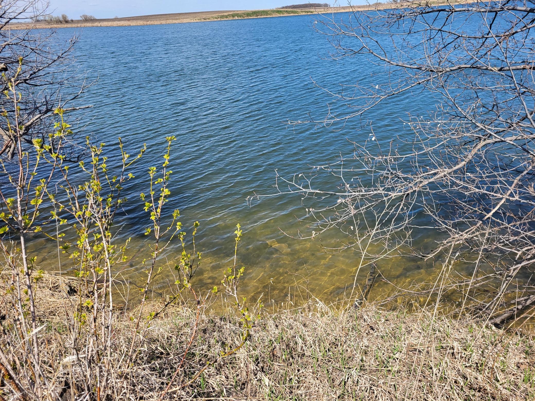 Lot 8 Southshores Circle
