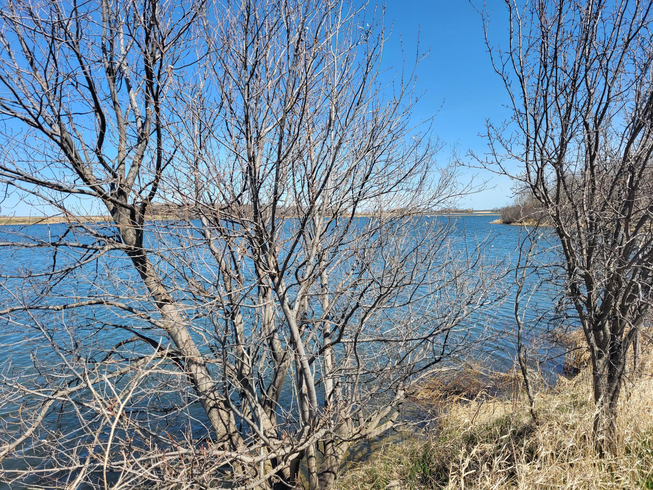Lot 8 Southshores Circle