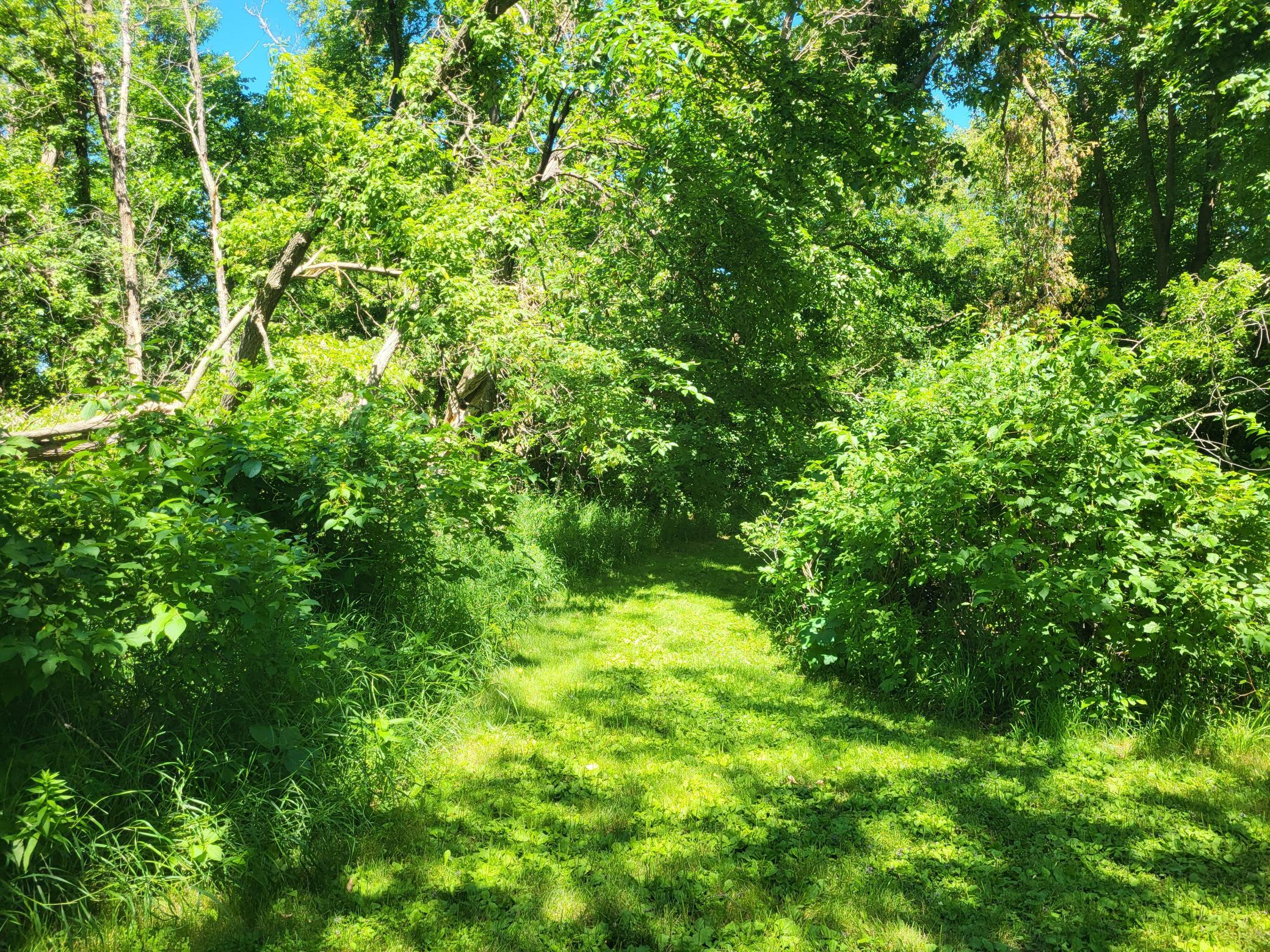 Lot 5 Big Chip Trail NW