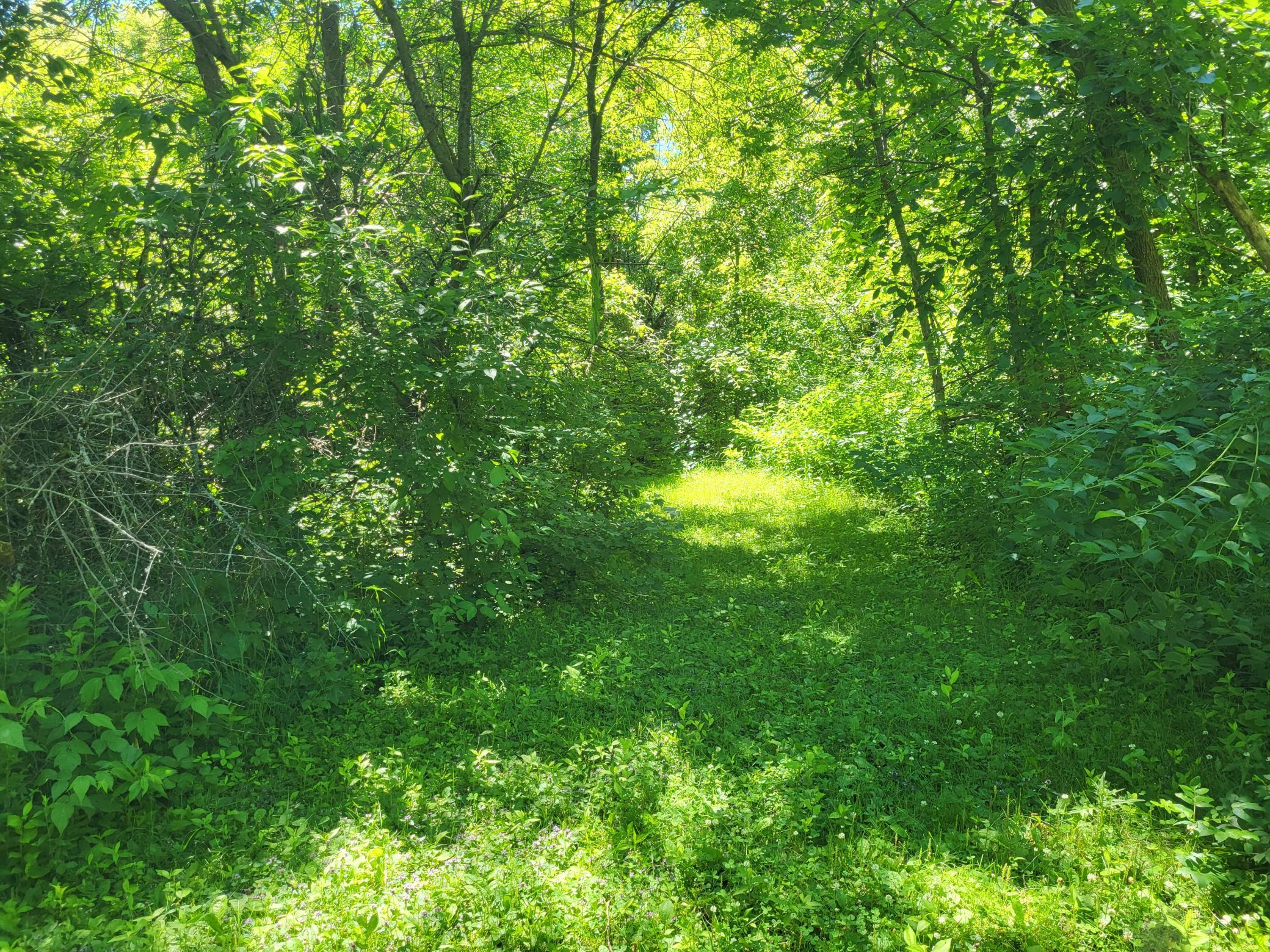 Lot 5 Big Chip Trail NW
