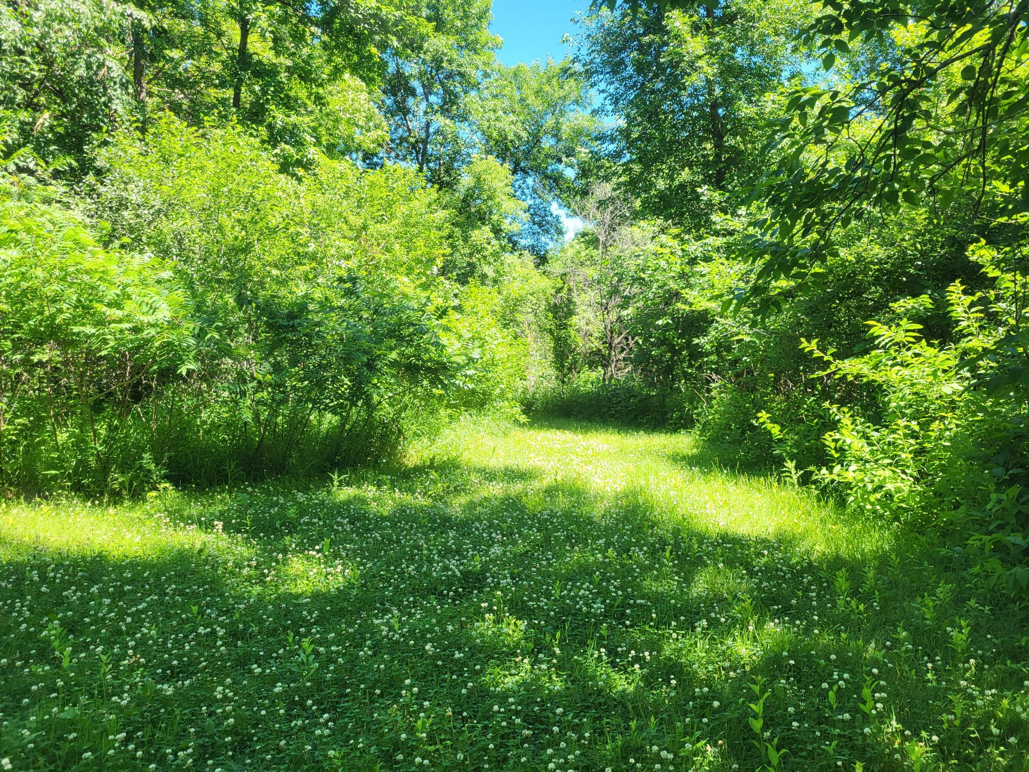 Lot 5 Big Chip Trail NW