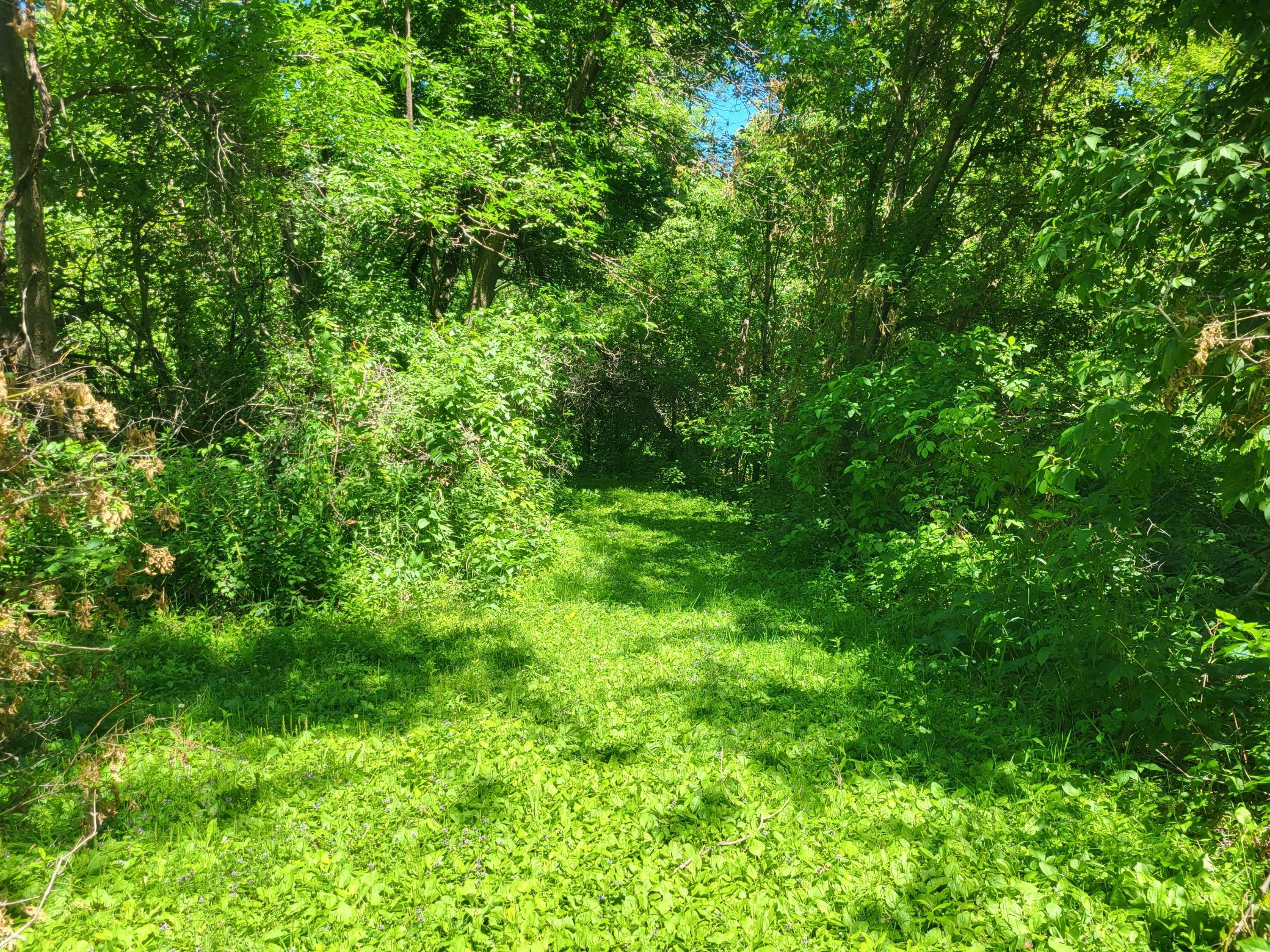 Lot 5 Big Chip Trail NW