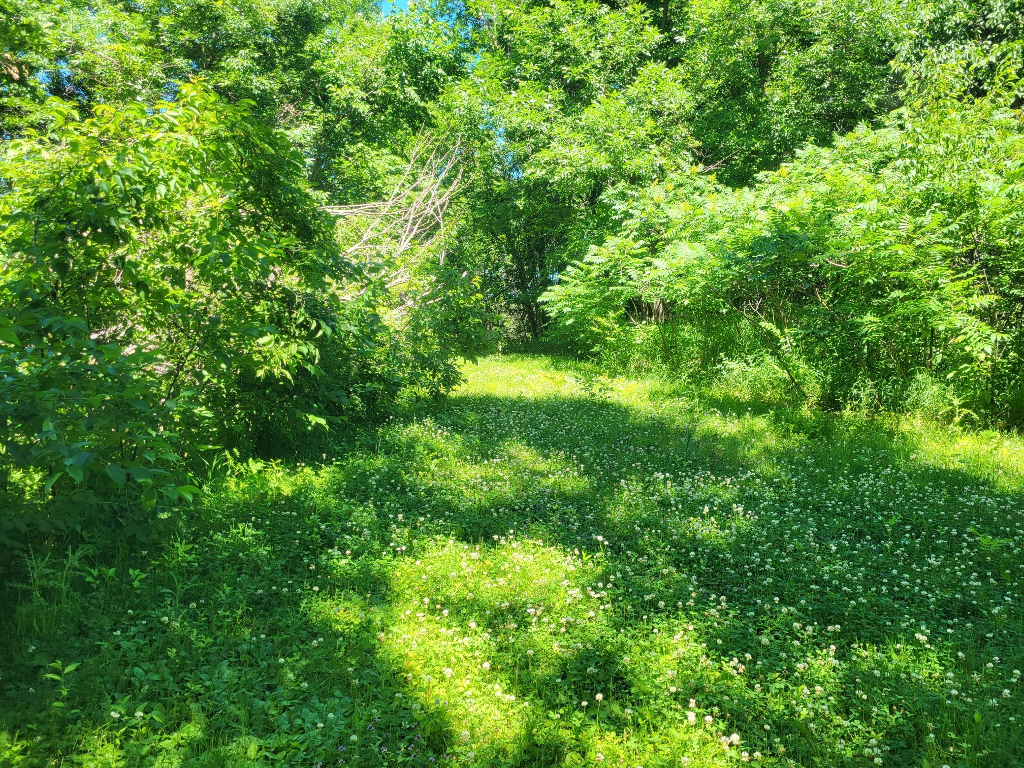 Lot 5 Big Chip Trail NW