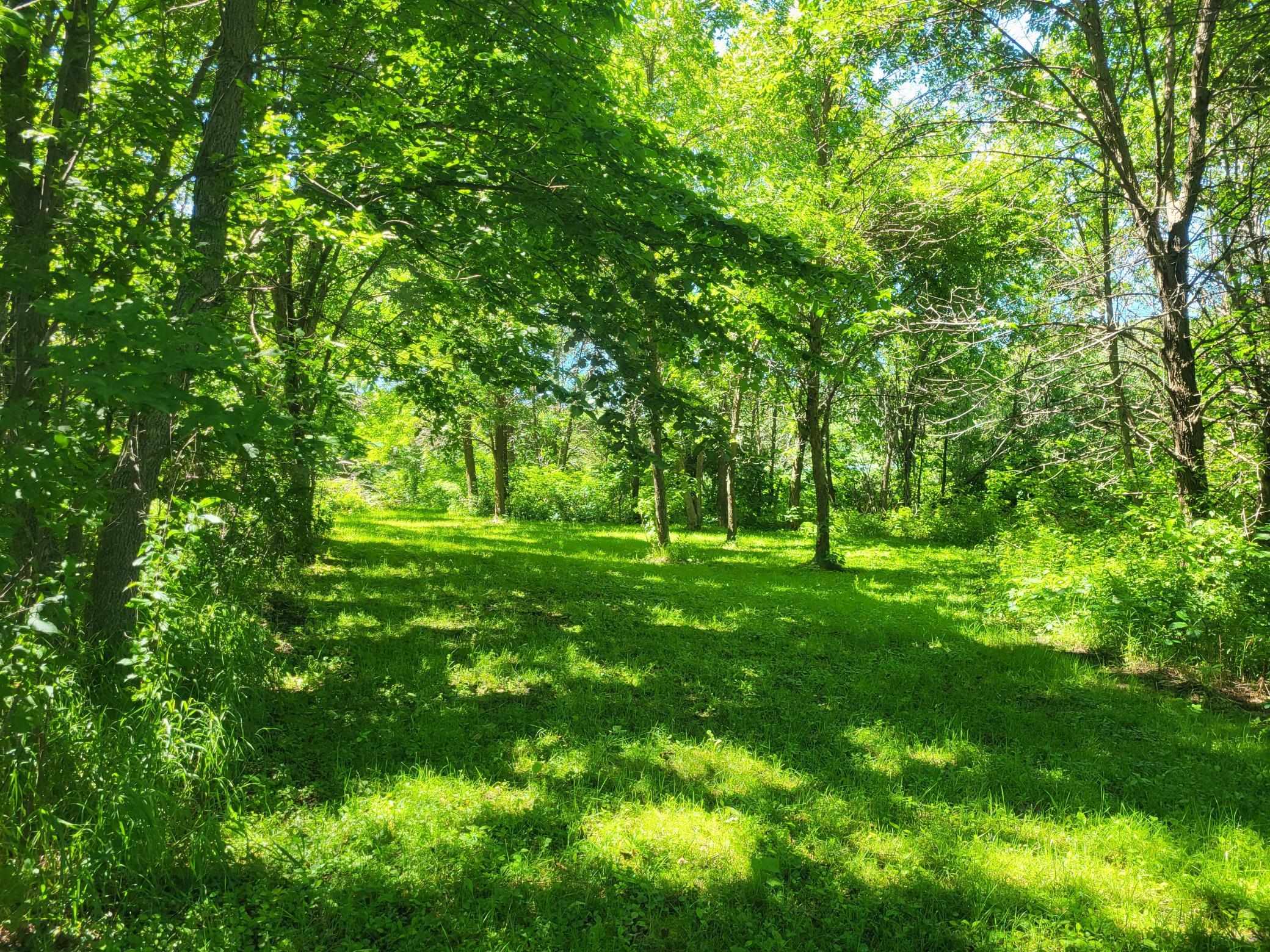 Lot 5 Big Chip Trail NW