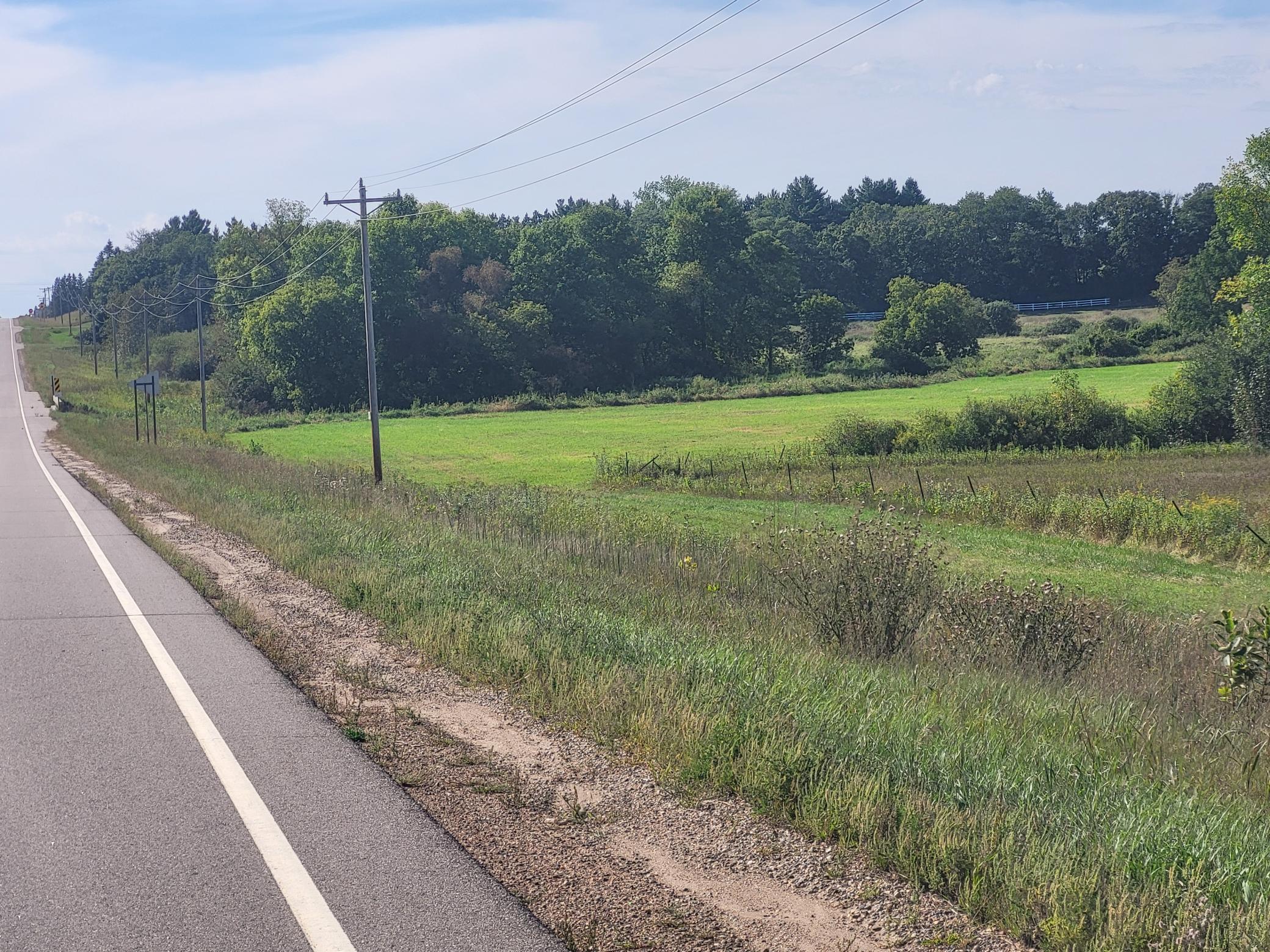 Rural acreage beside a paved road, with a green field, tall grasses, and a wooded tree line.