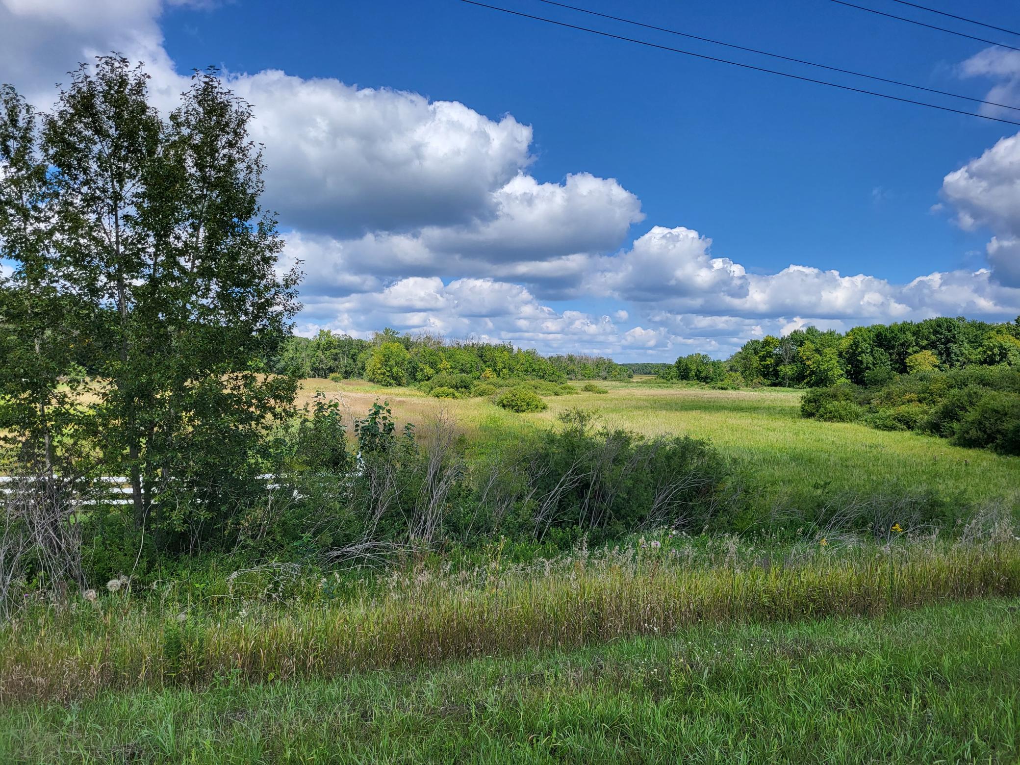 Open grassy acreage with a meadow, foreground grasses, shrubs, and tree lines beneath a blue sky.
