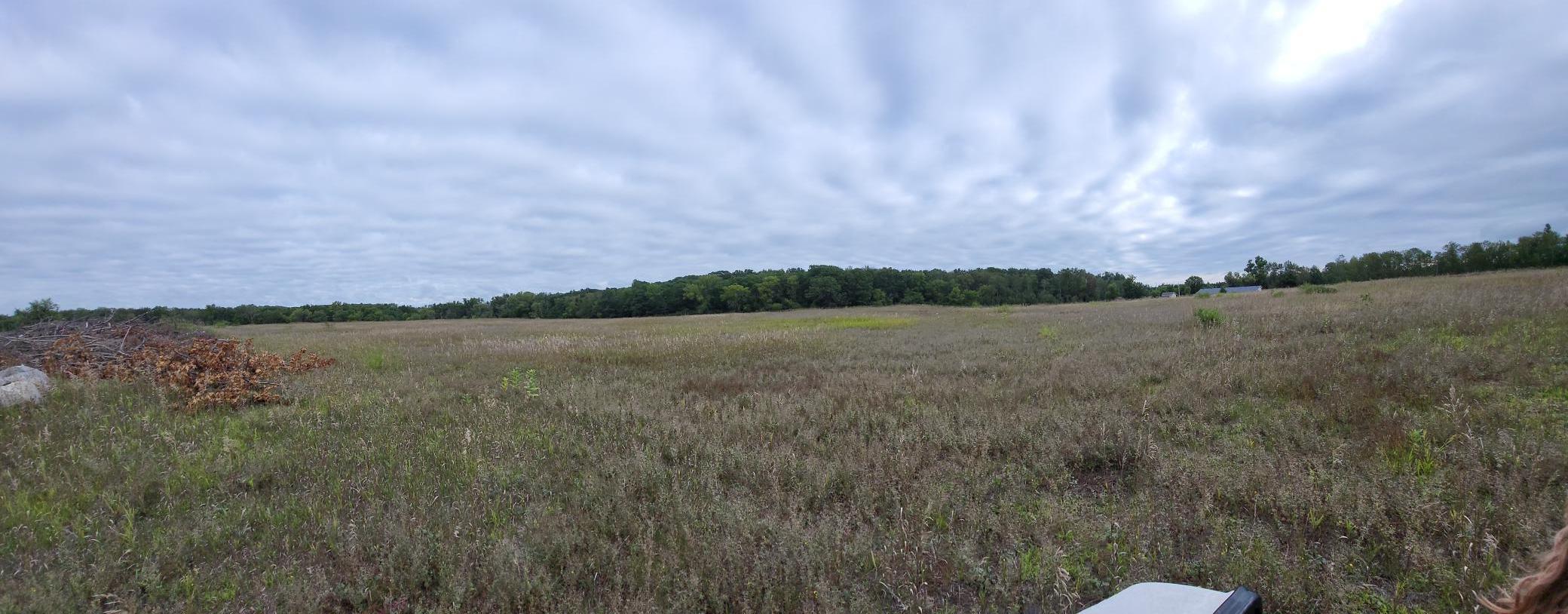 Open grassy acreage with a wooded tree line and distant buildings beneath a cloudy sky.