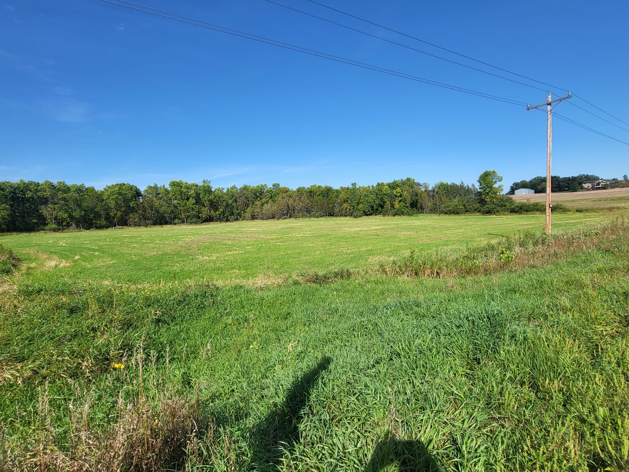 Rural green field bordered by trees, with a utility pole and distant buildings under a clear sky.