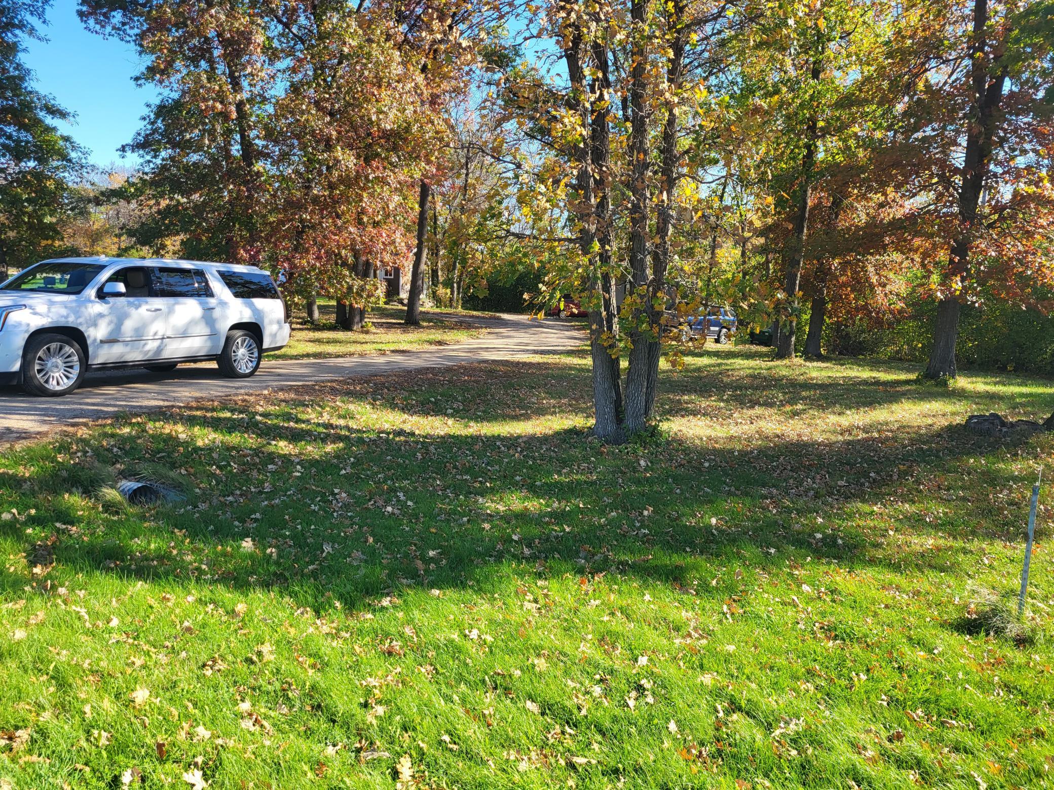 Tree-lined property driveway with a white SUV and autumn leaves across the lawn.