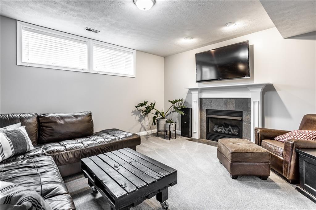 10178 FOX TRACE