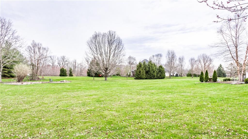 10178 FOX TRACE