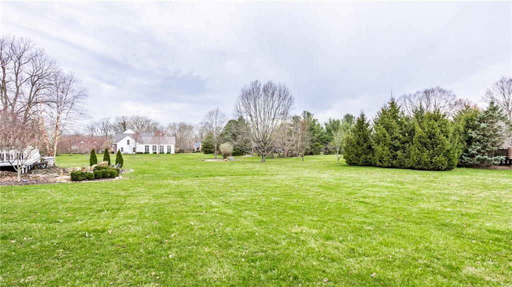 10178 FOX TRACE