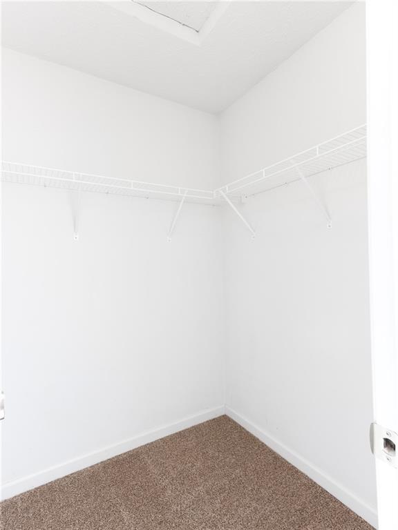 5900 Hollow Oak Trail