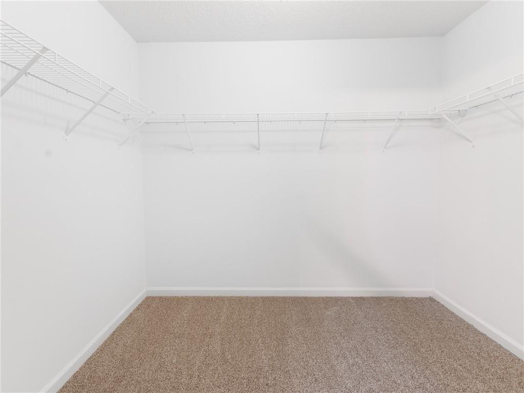 5900 Hollow Oak Trail
