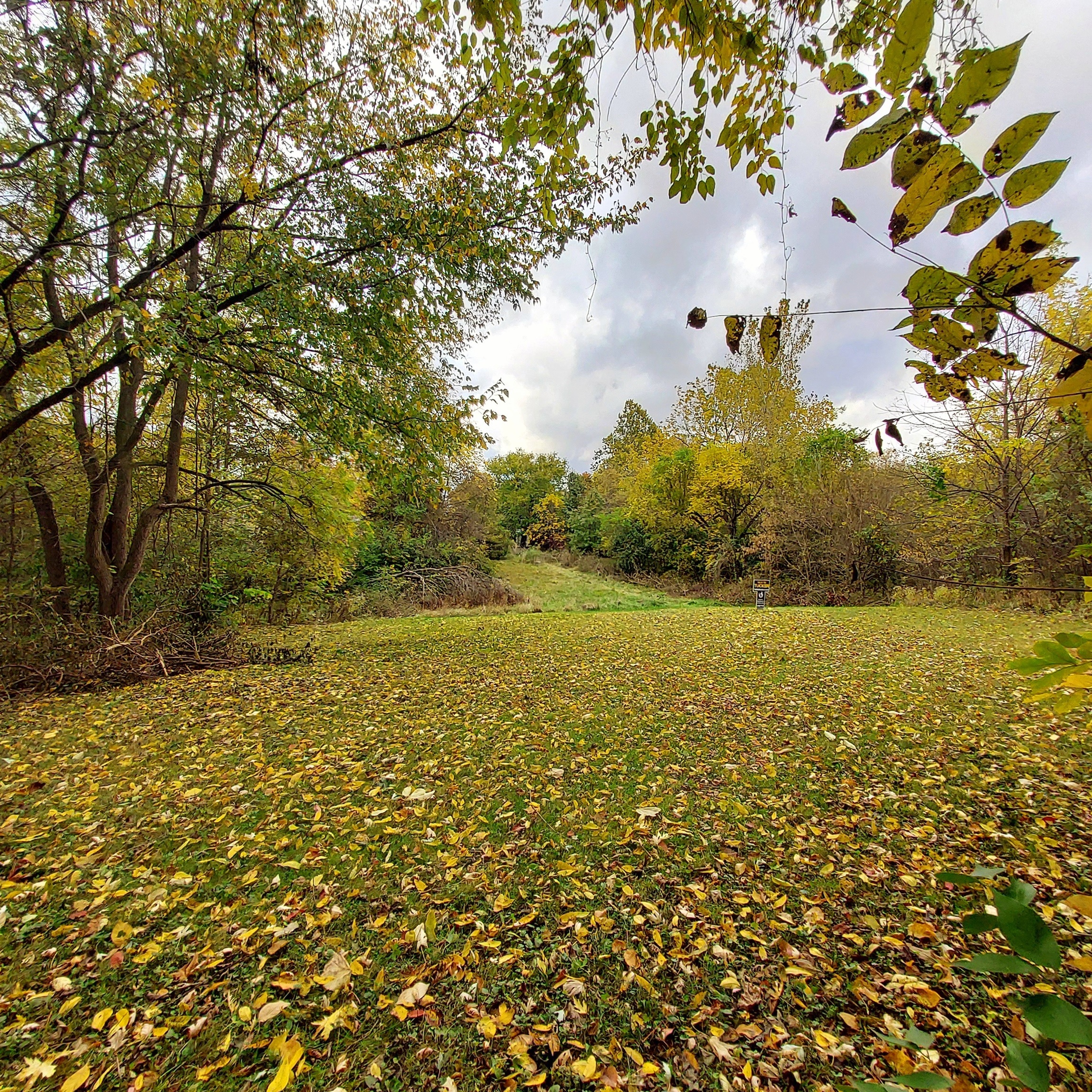 Site A Menden Street