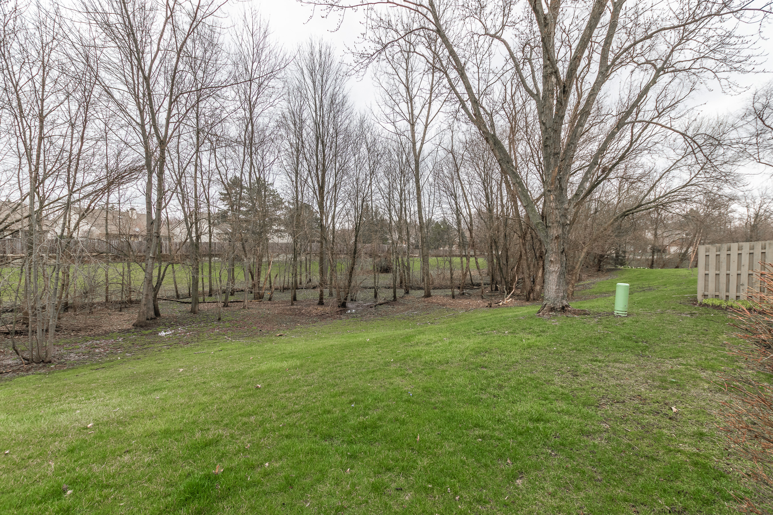 11679 Buttonwood Drive