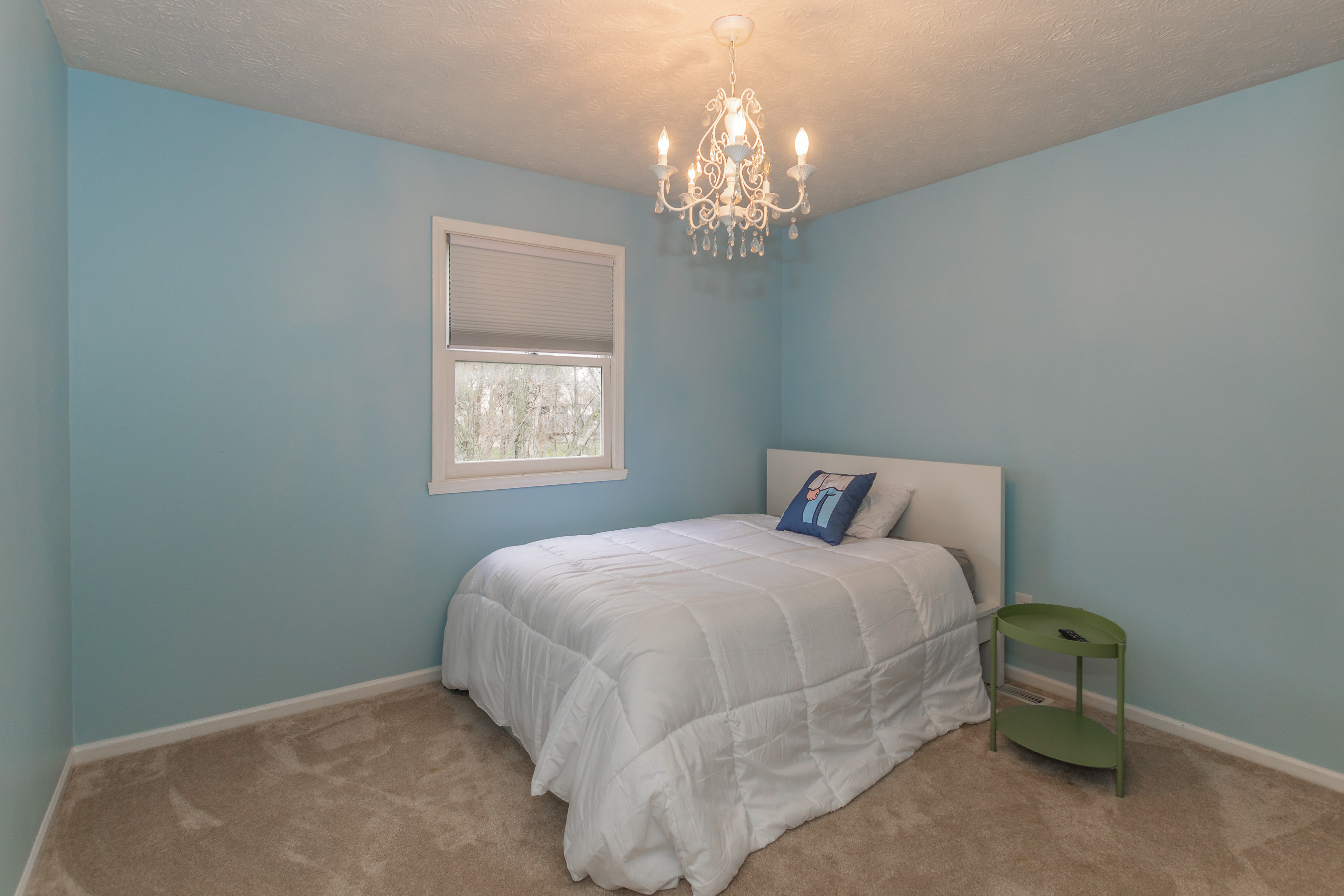 11679 Buttonwood Drive