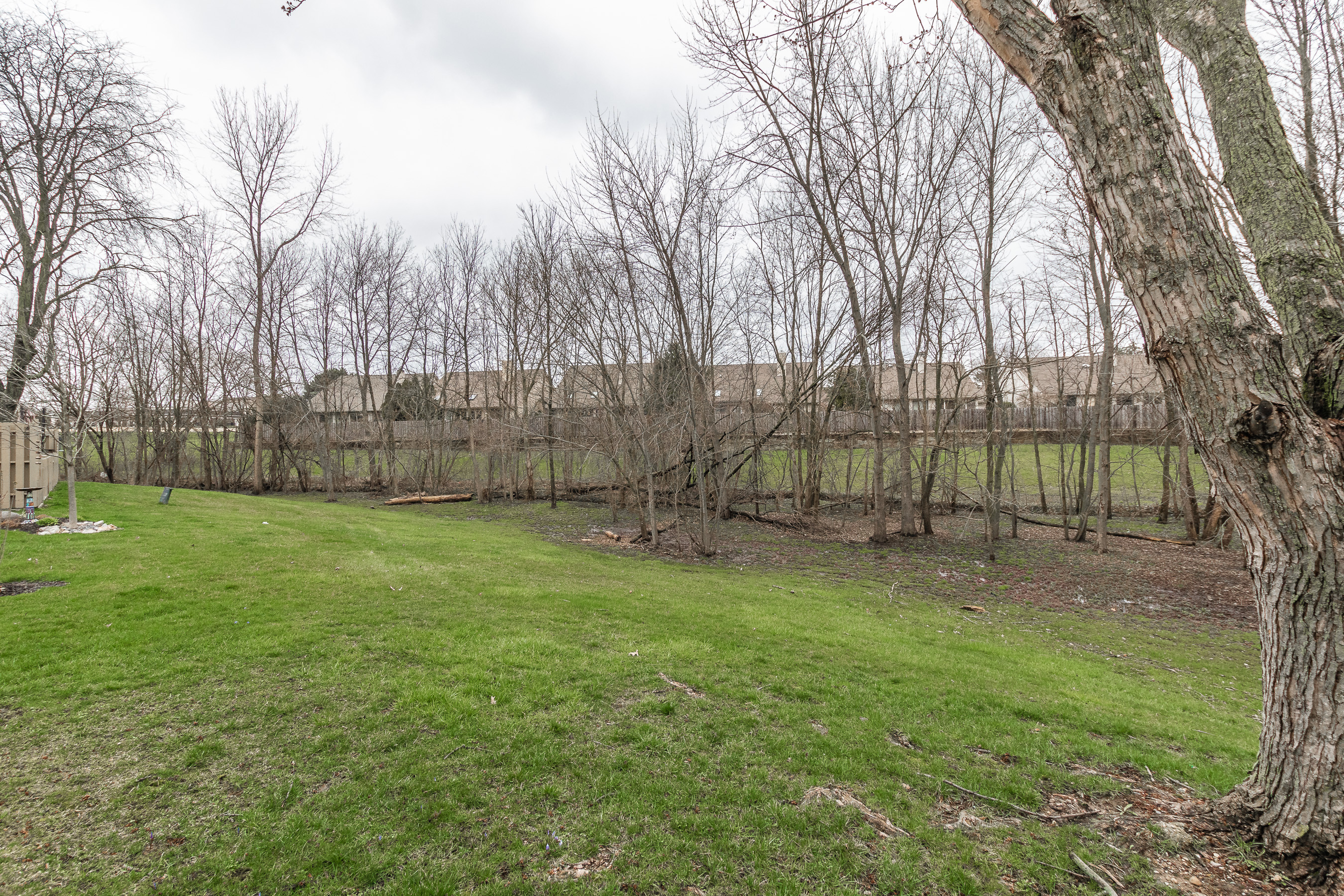 11679 Buttonwood Drive