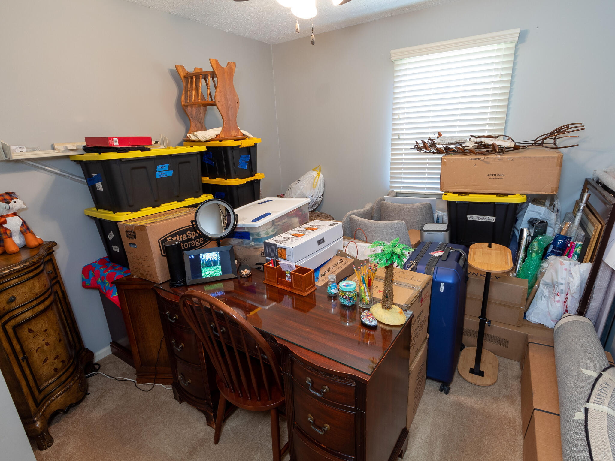 377 Carmelview Drive