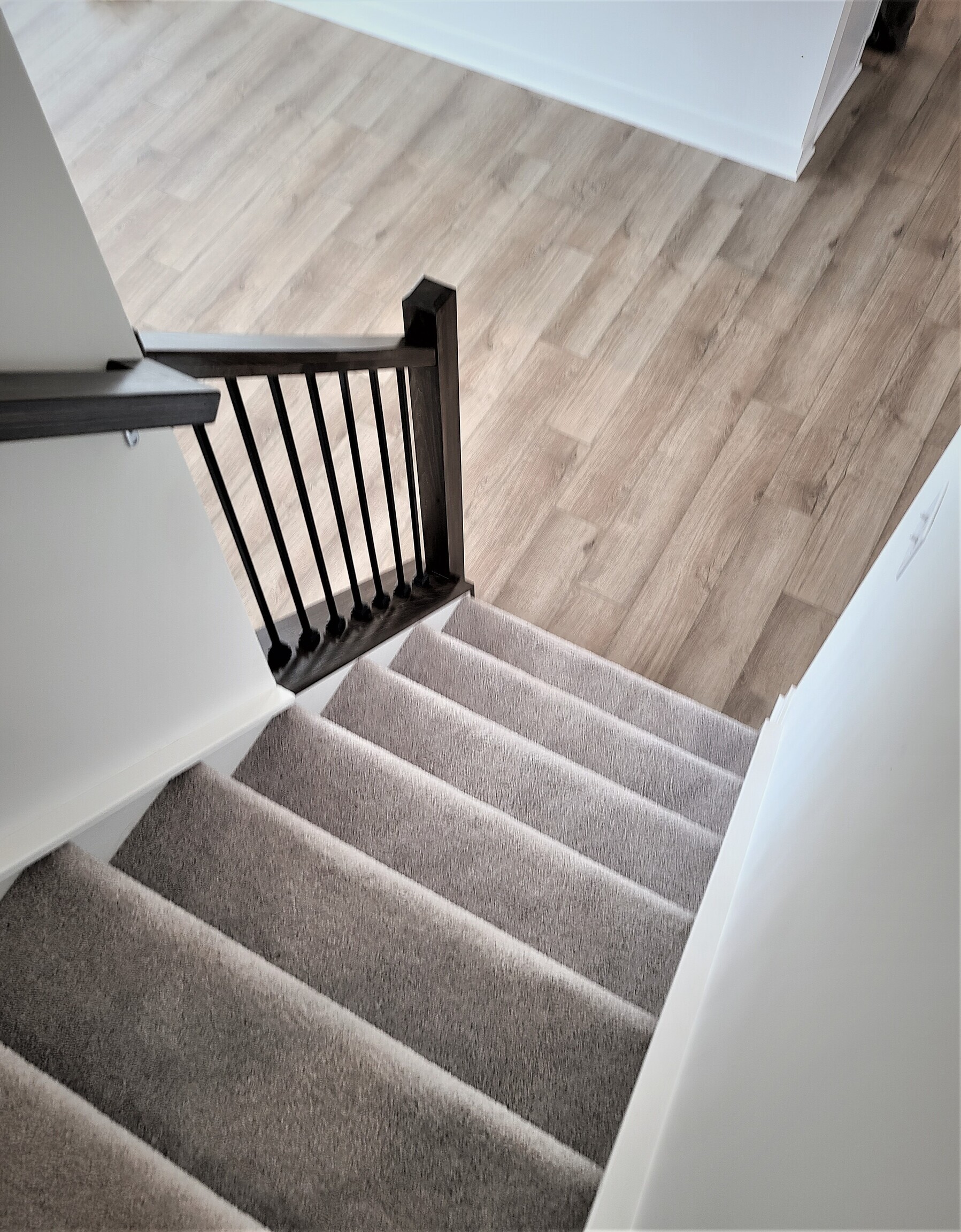 6929 Adalene Lane