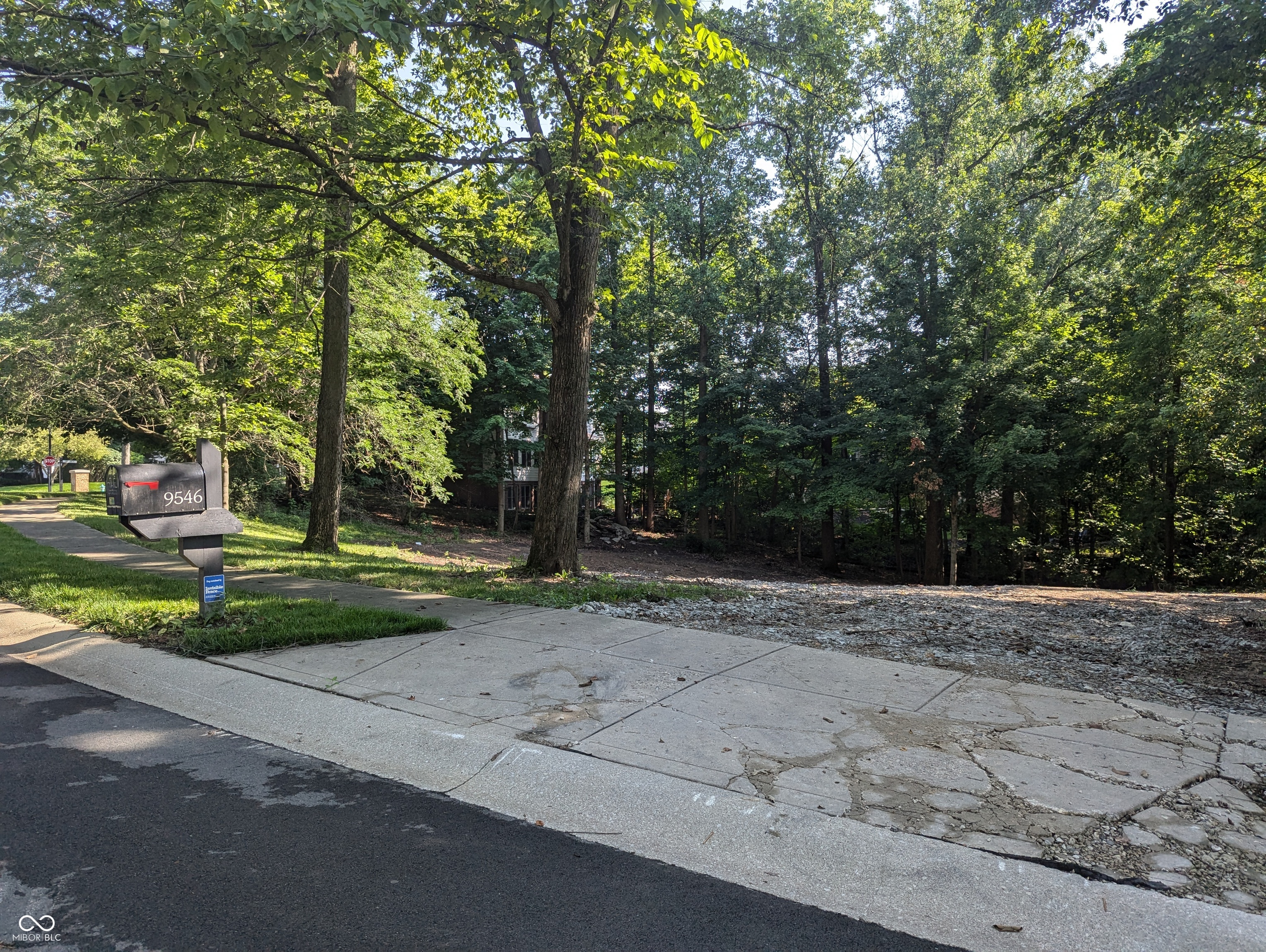 9546 Timberline Drive