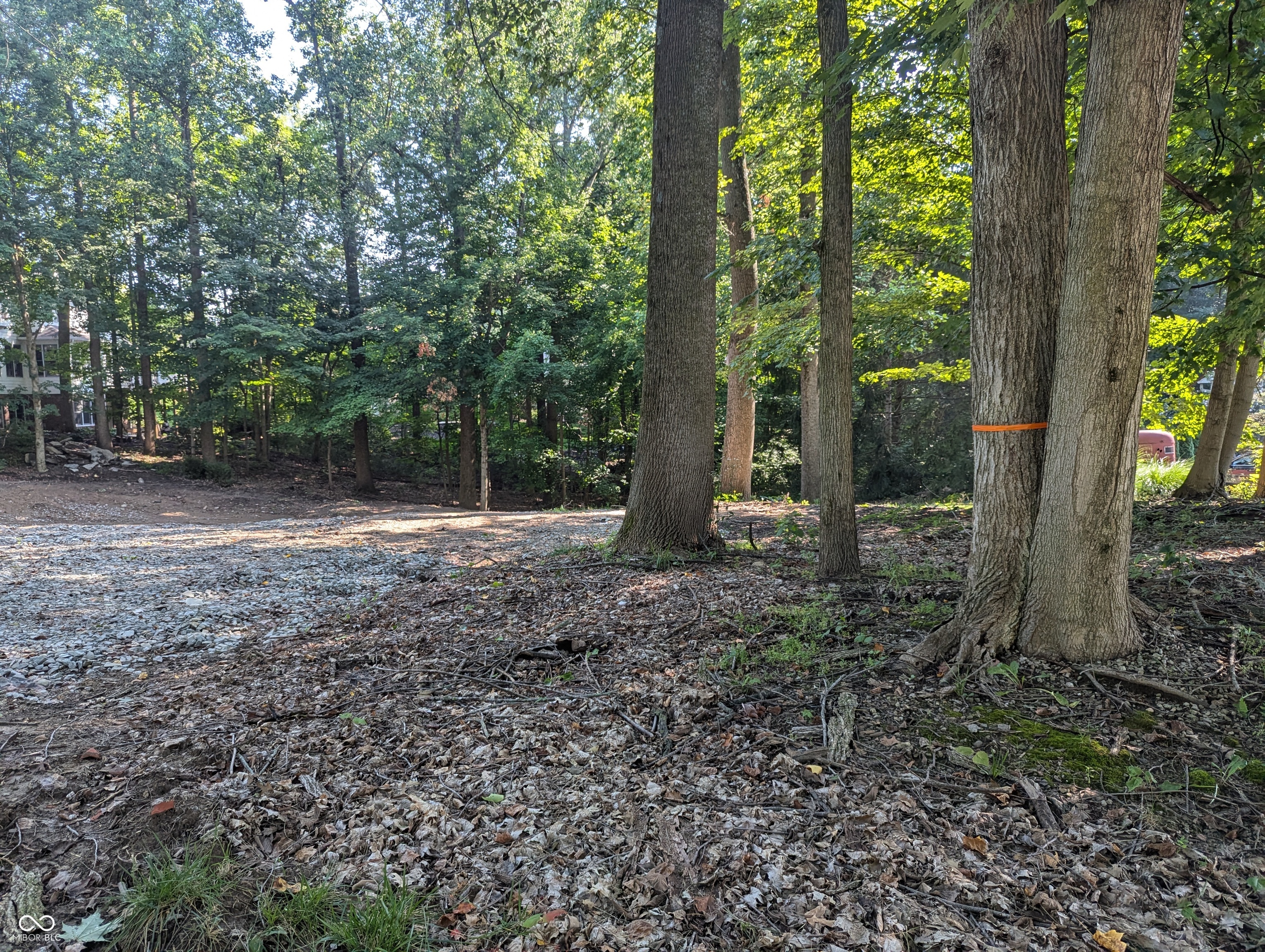 9546 Timberline Drive