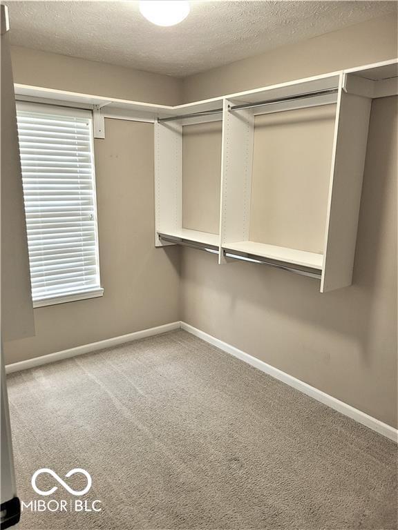 13403 W Golden Gate Drive W