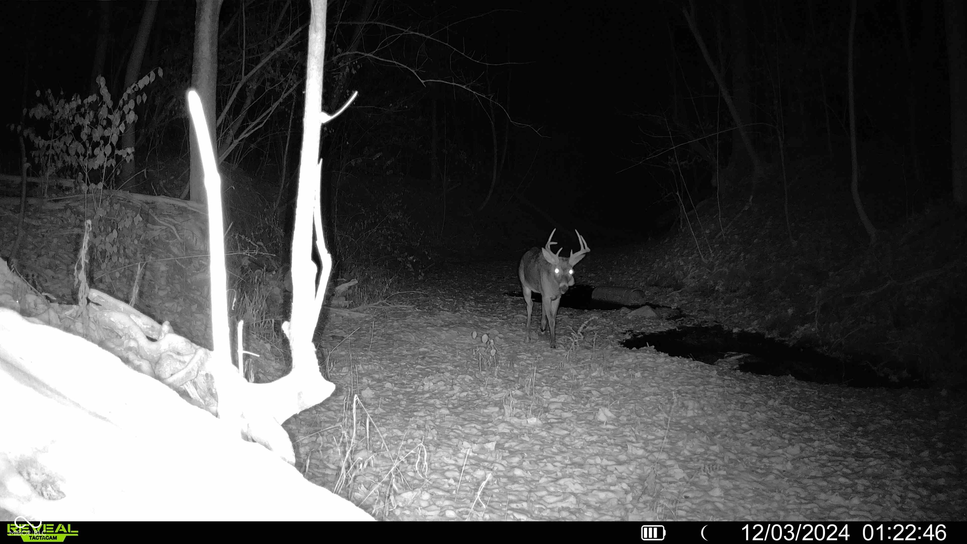 6884 S County Road 400 E