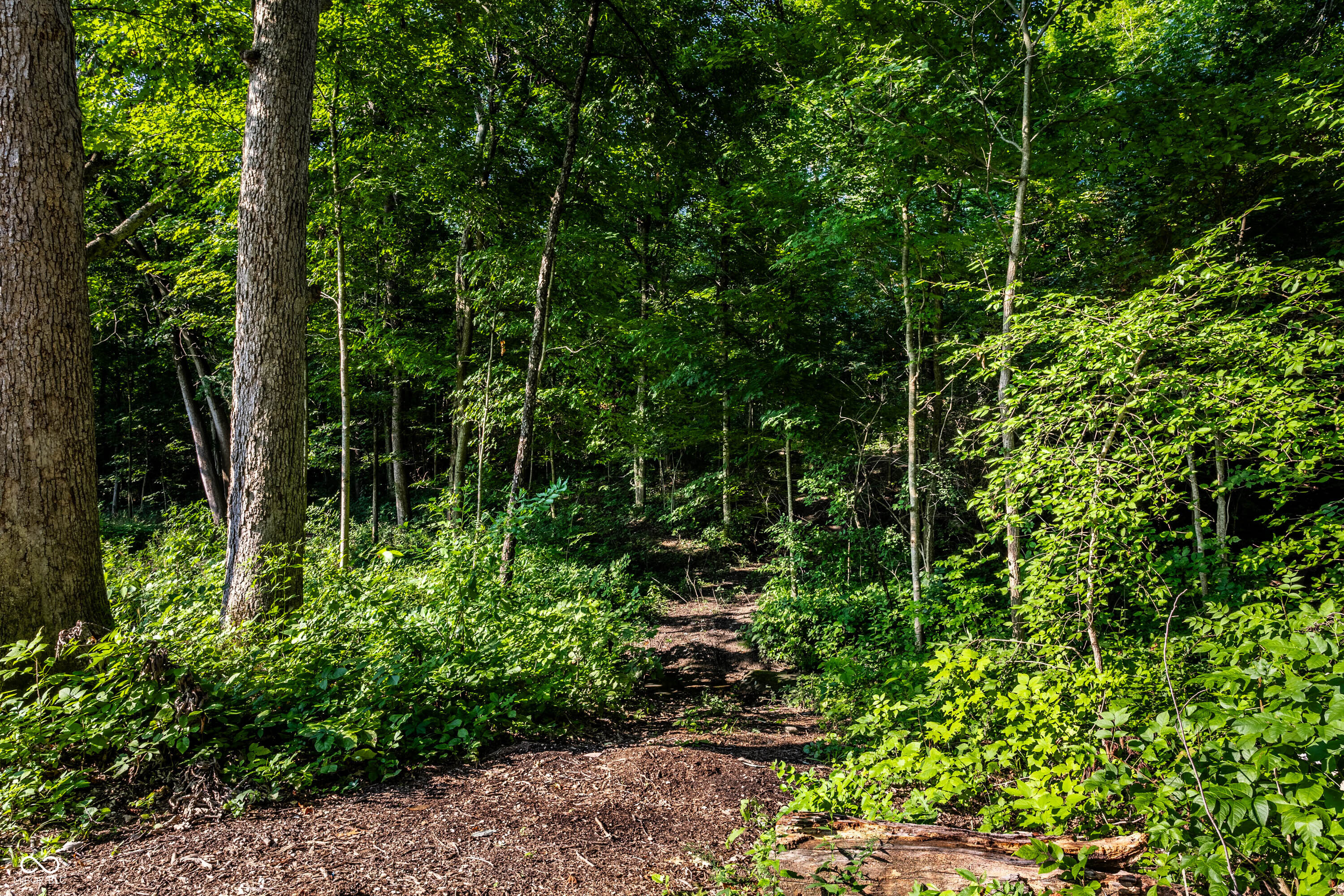 6884 S County Road 400 E