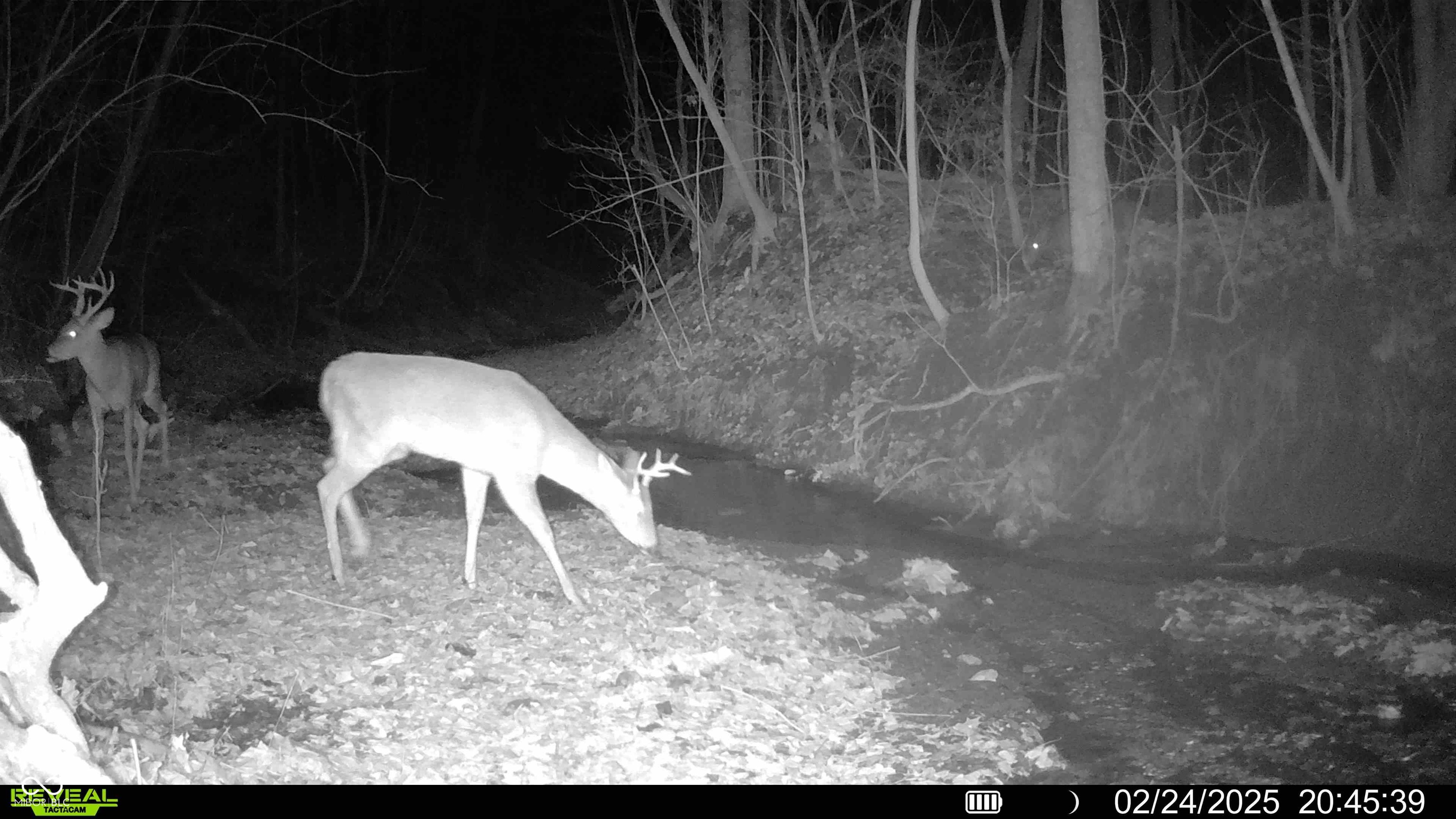 6884 S County Road 400 E