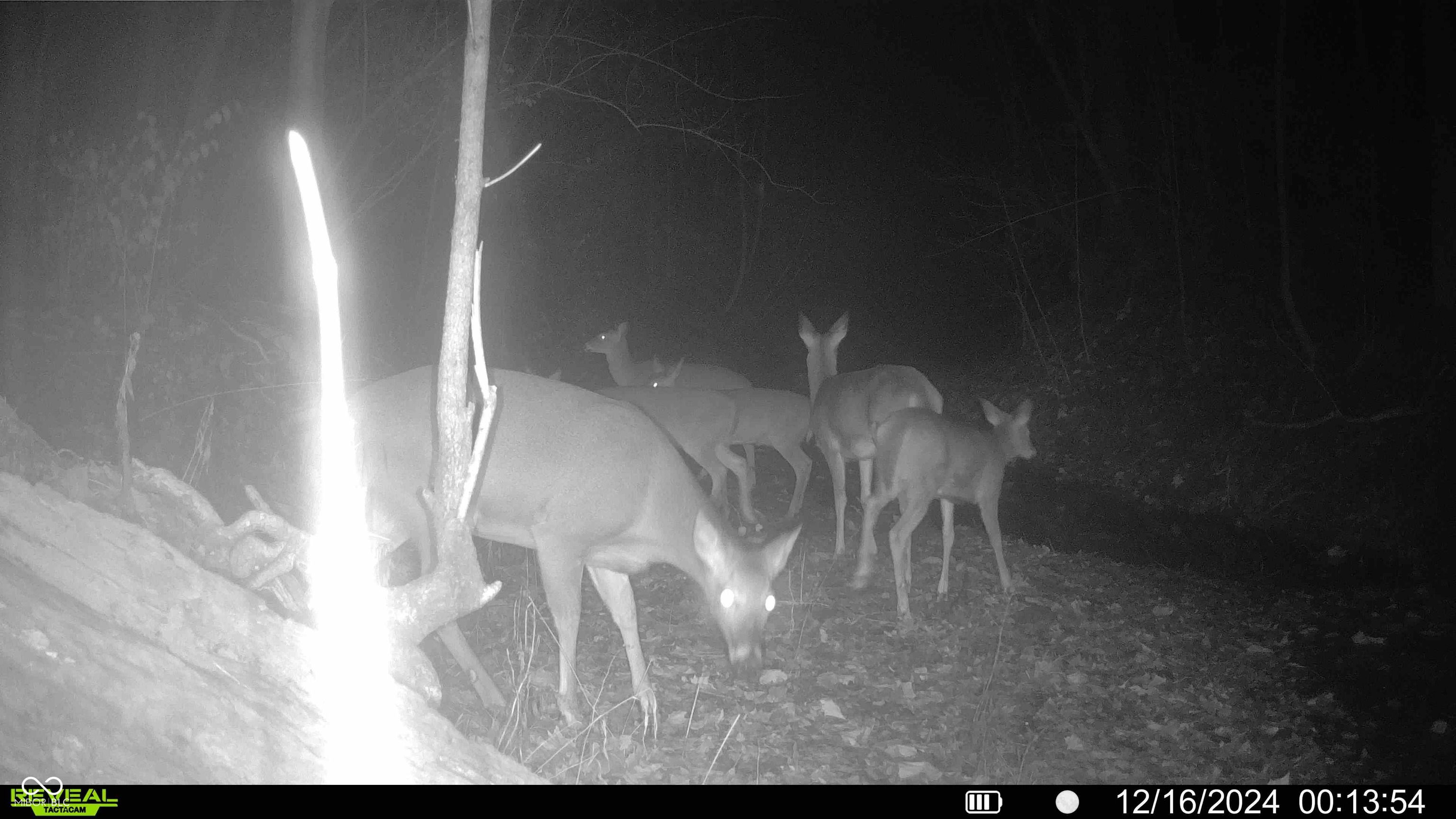 6884 S County Road 400 E